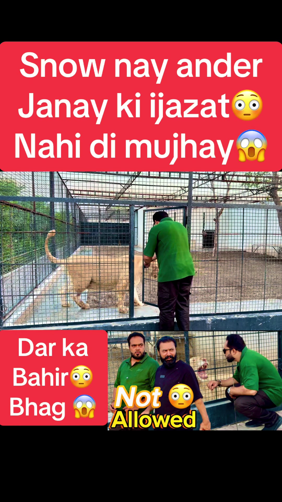 @Mian saqib