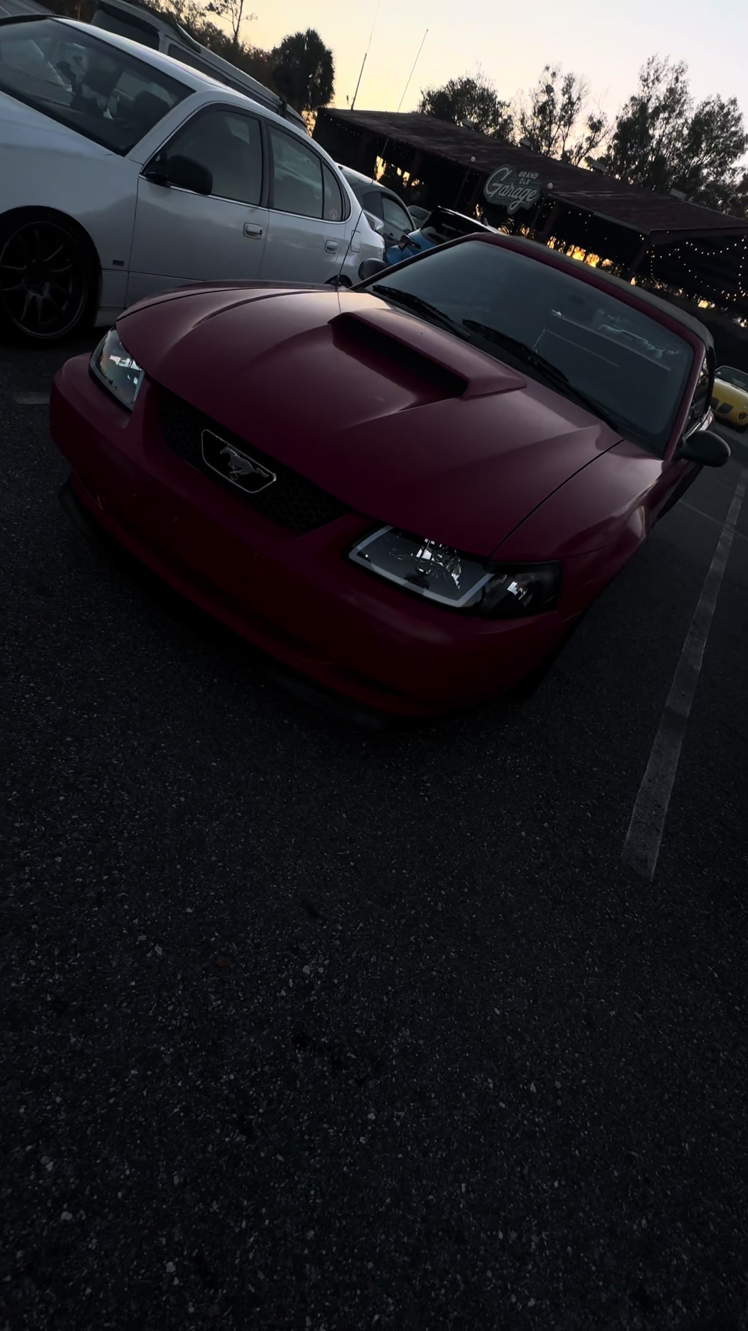 @that.new.edgemustang