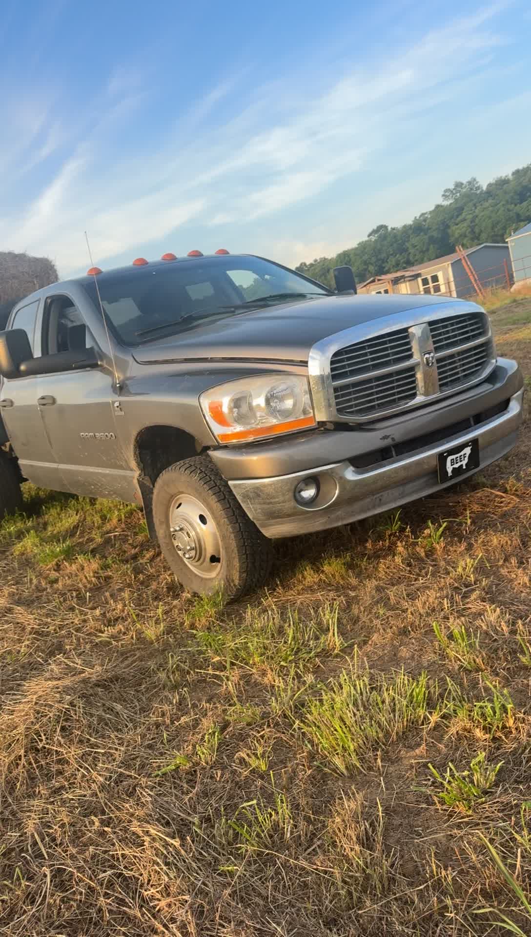 @tripleclivestock