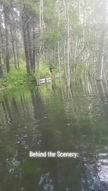 @UnleashedBeaverChronicles