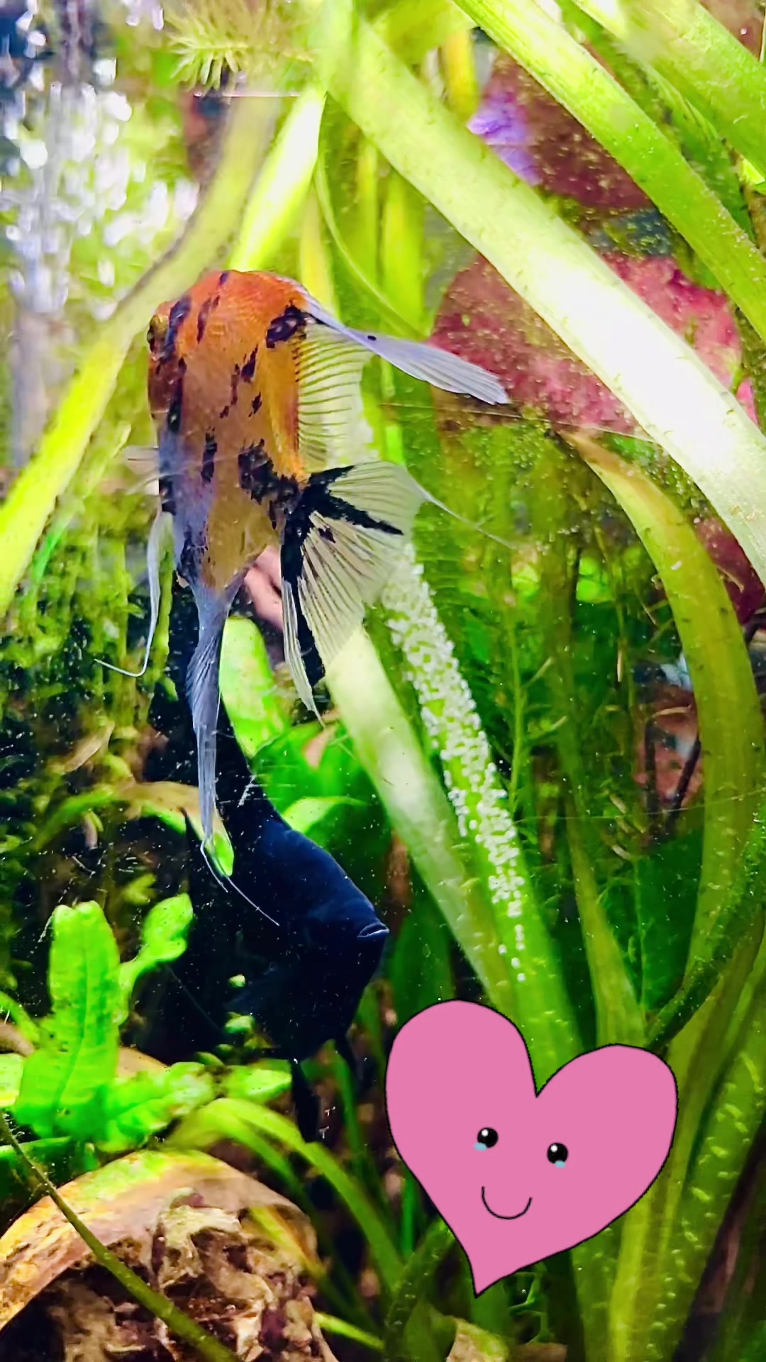 @aquaintuitions