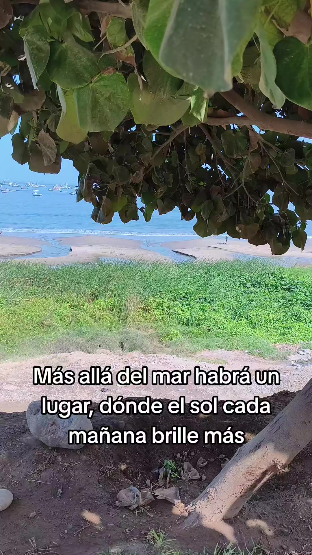 @Diego Trinidad