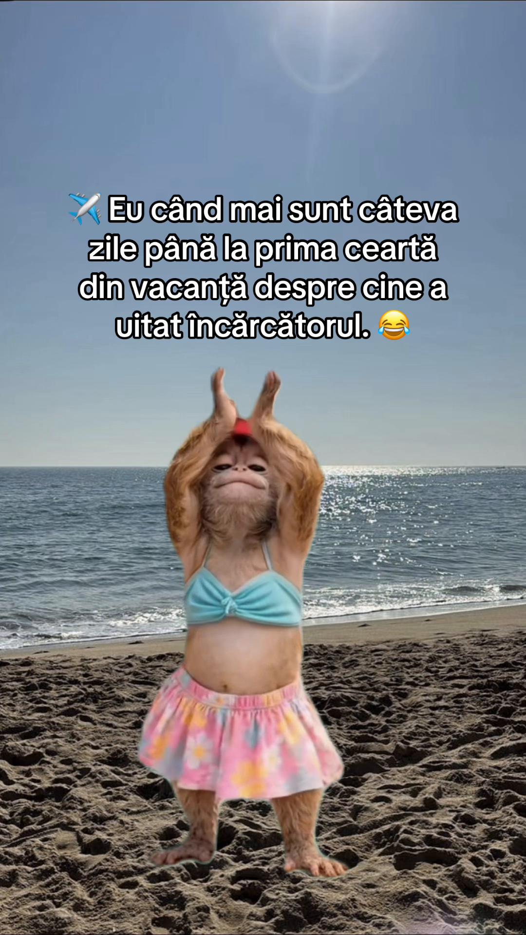 @Teodora