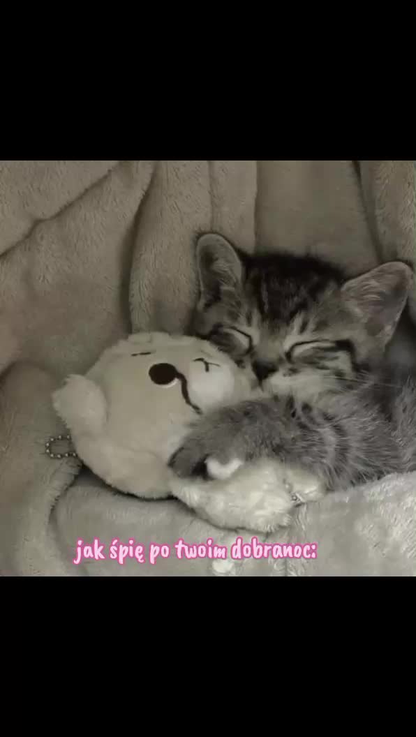 @MajKa177