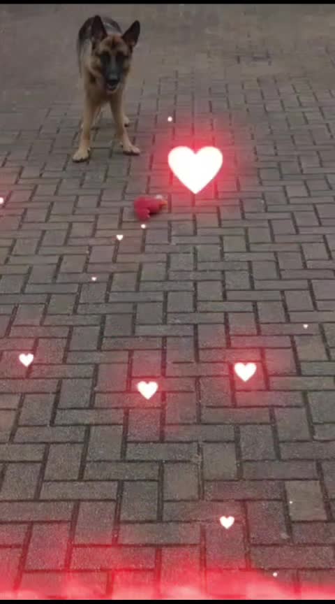 @Olli2024