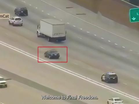 @LastFreedomCat