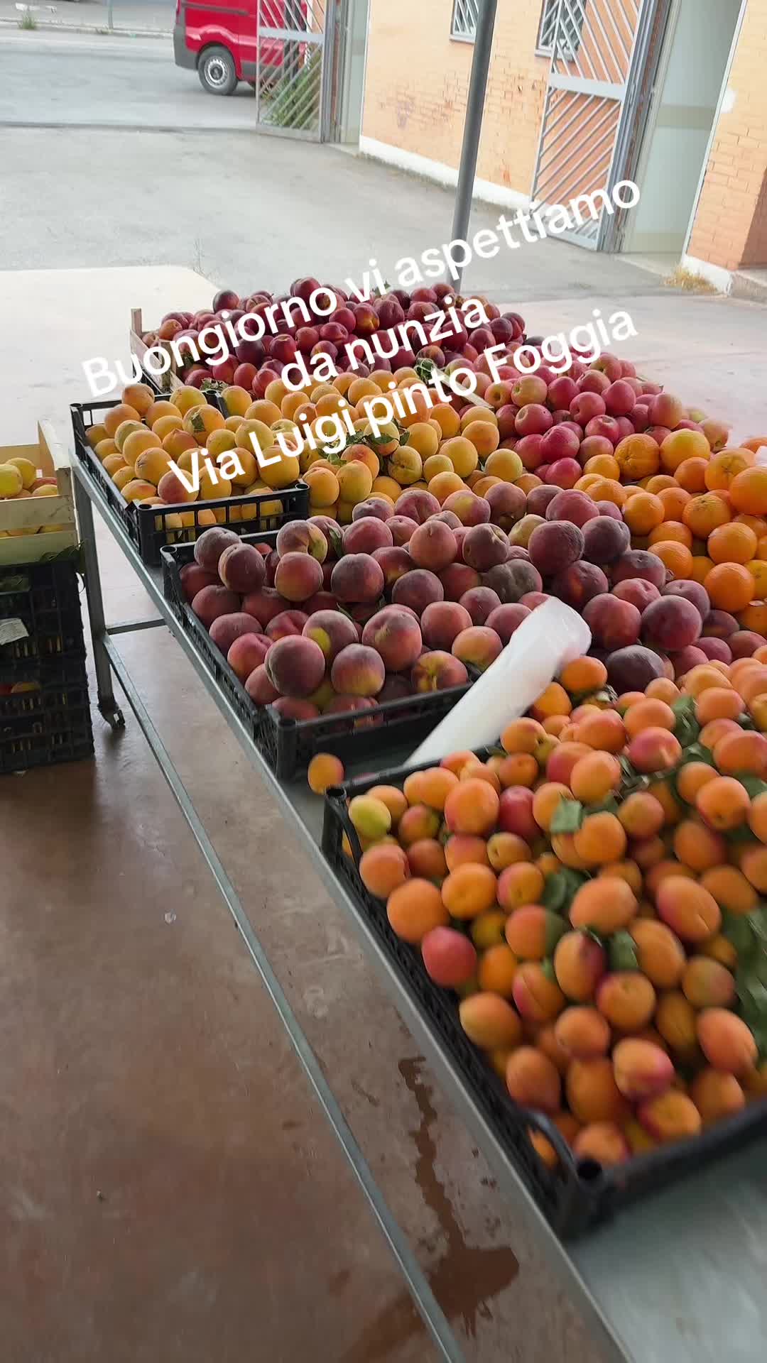 @frutta e verdura da nunzia