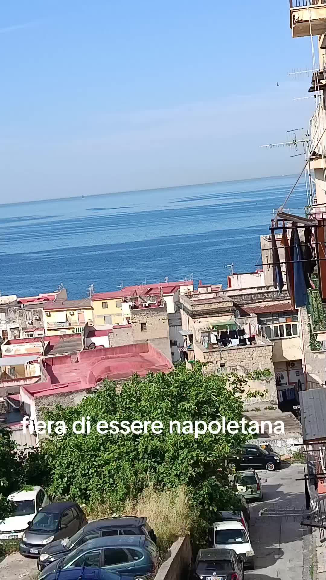 @Teresa Vela