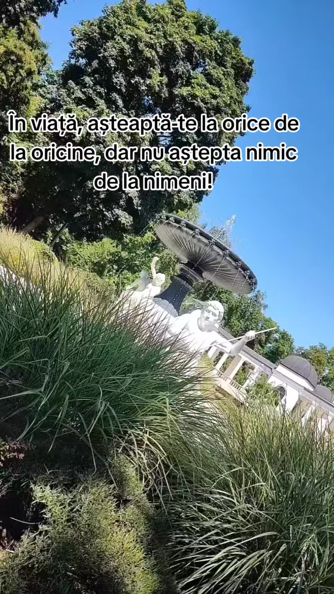 @Alina AC