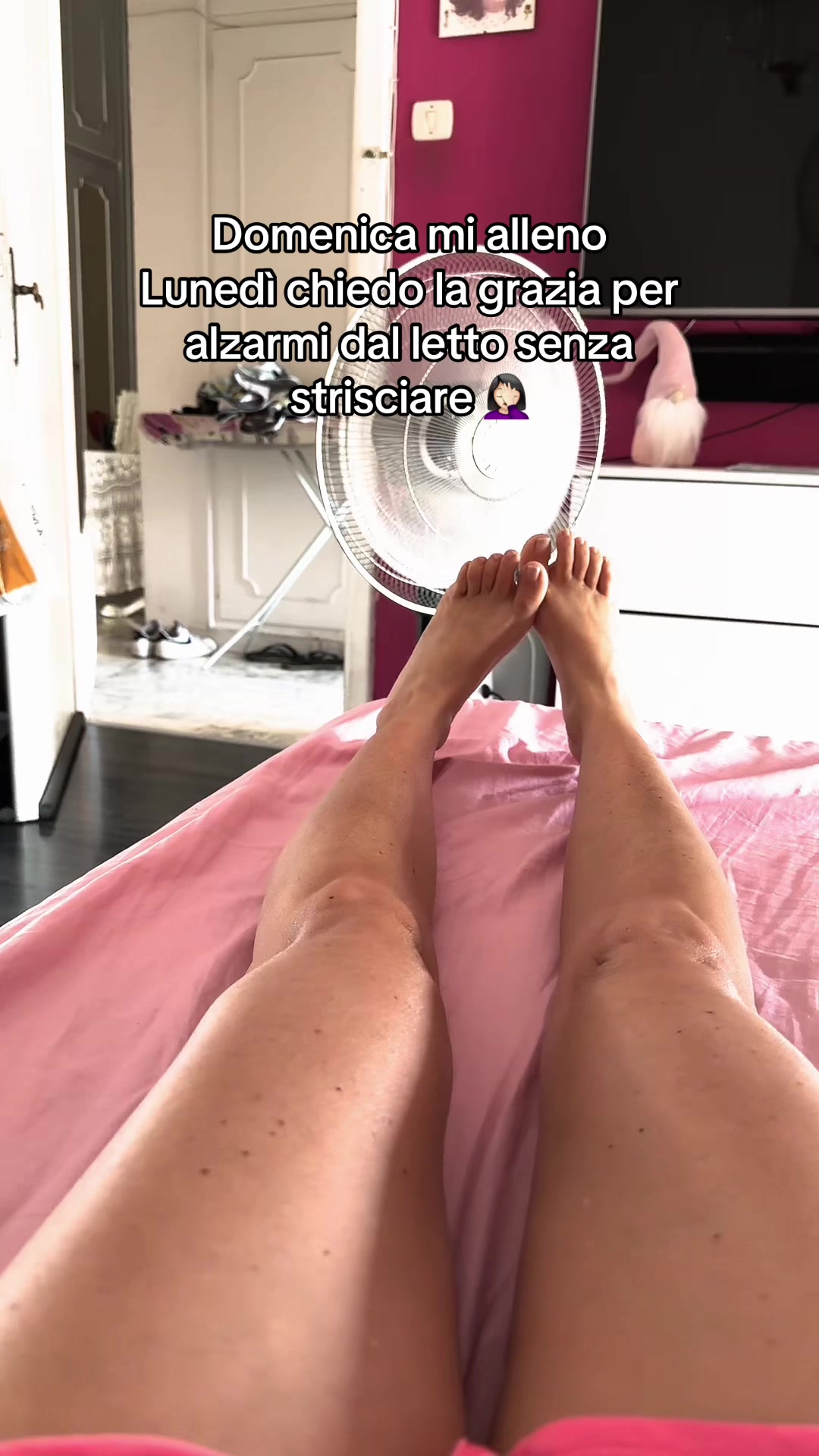 @Simona Cocco 🌙