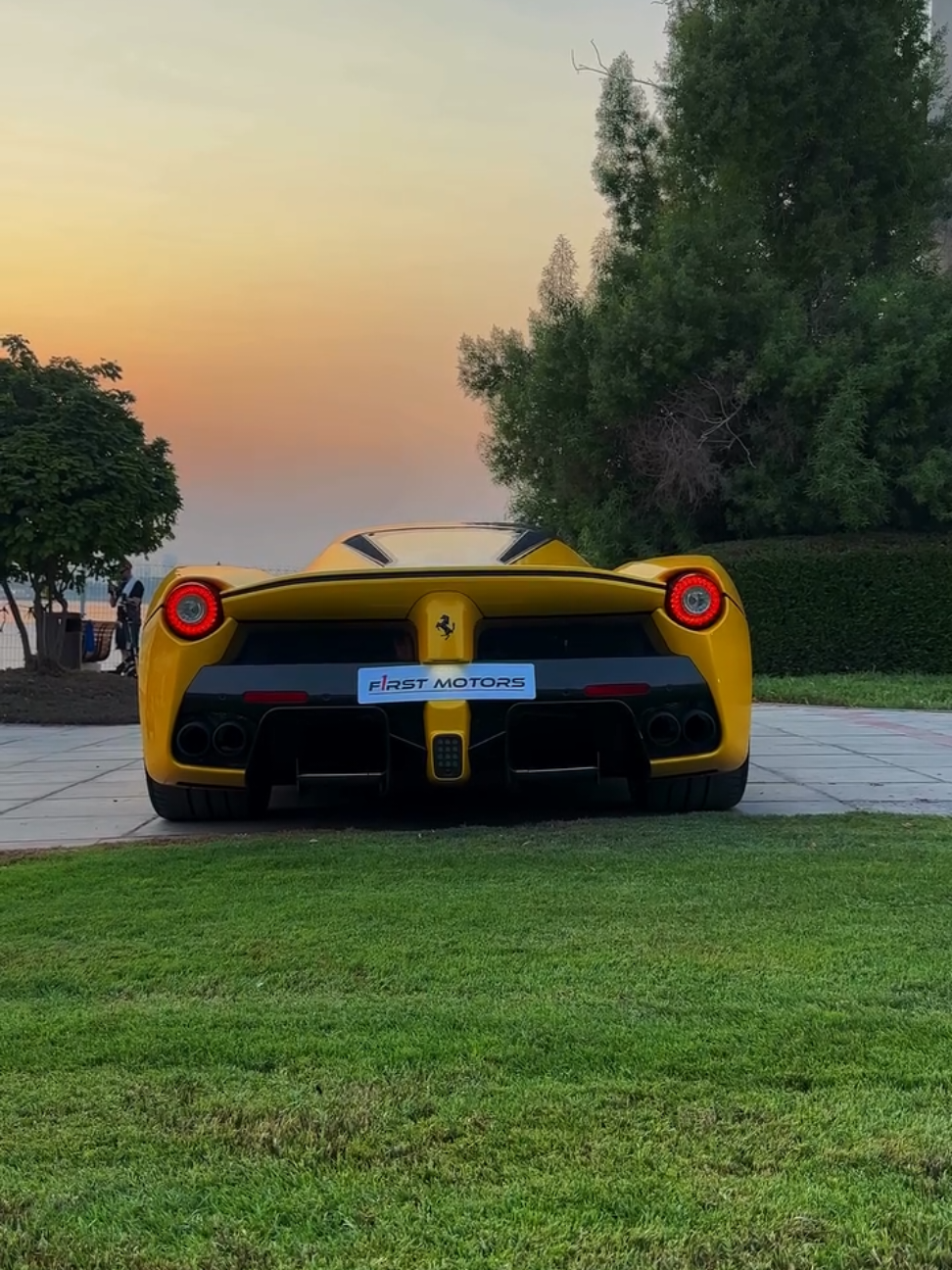 @𝗔𝗽𝗲𝘅 𝗚𝗮𝗿𝗮𝗴𝗲🦾