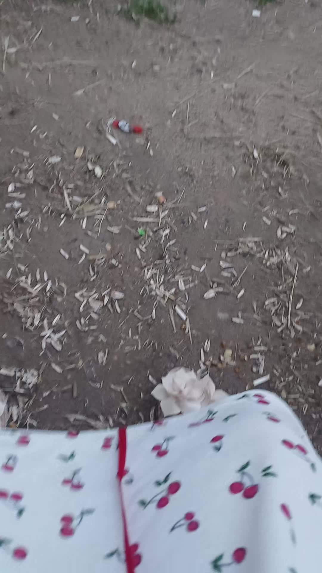 @Sara Catalina