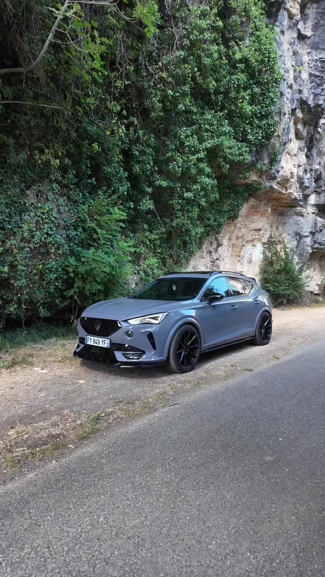 @LionCuprAFormentor