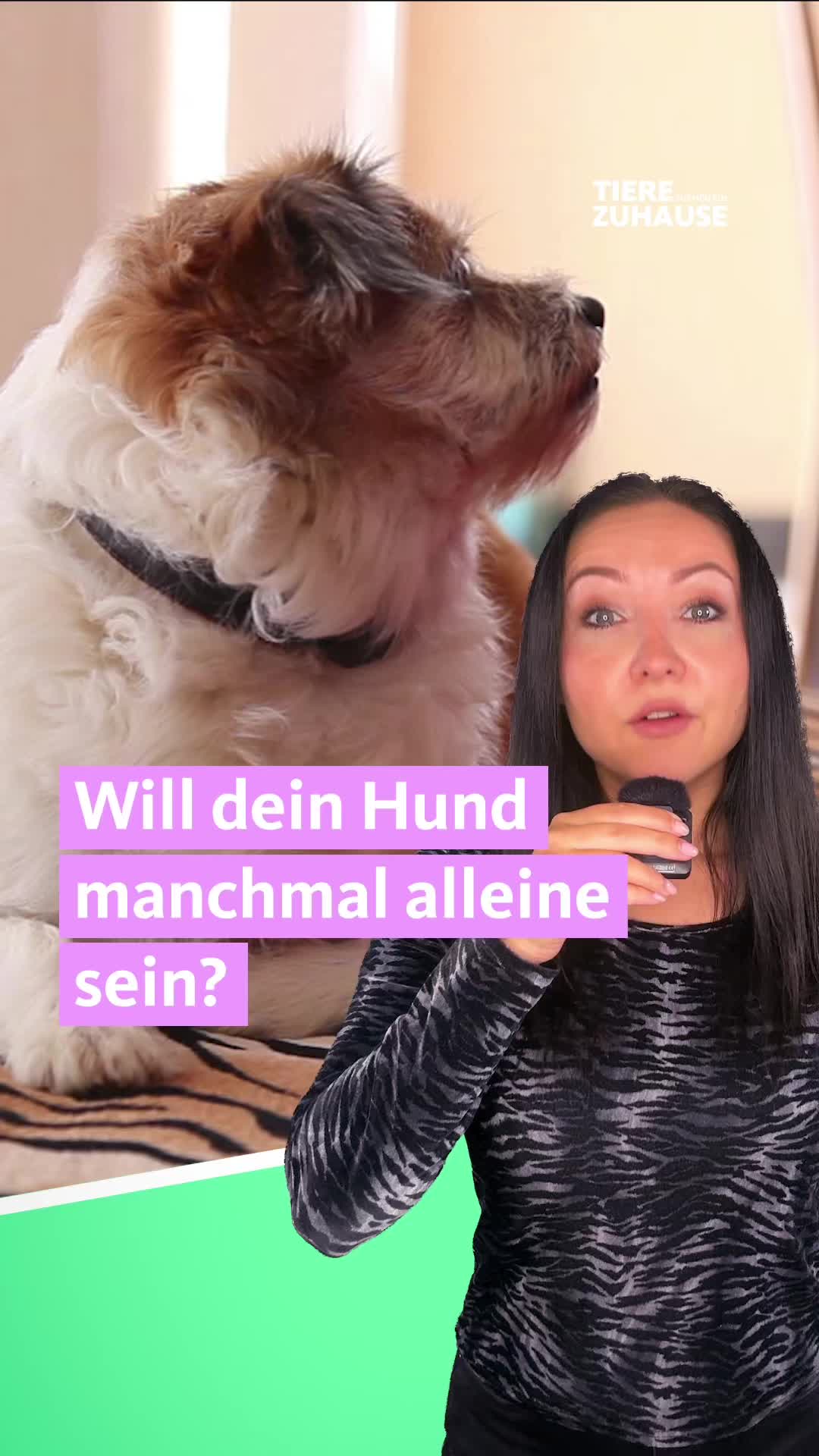 @Tiere suchen ein Zuhause