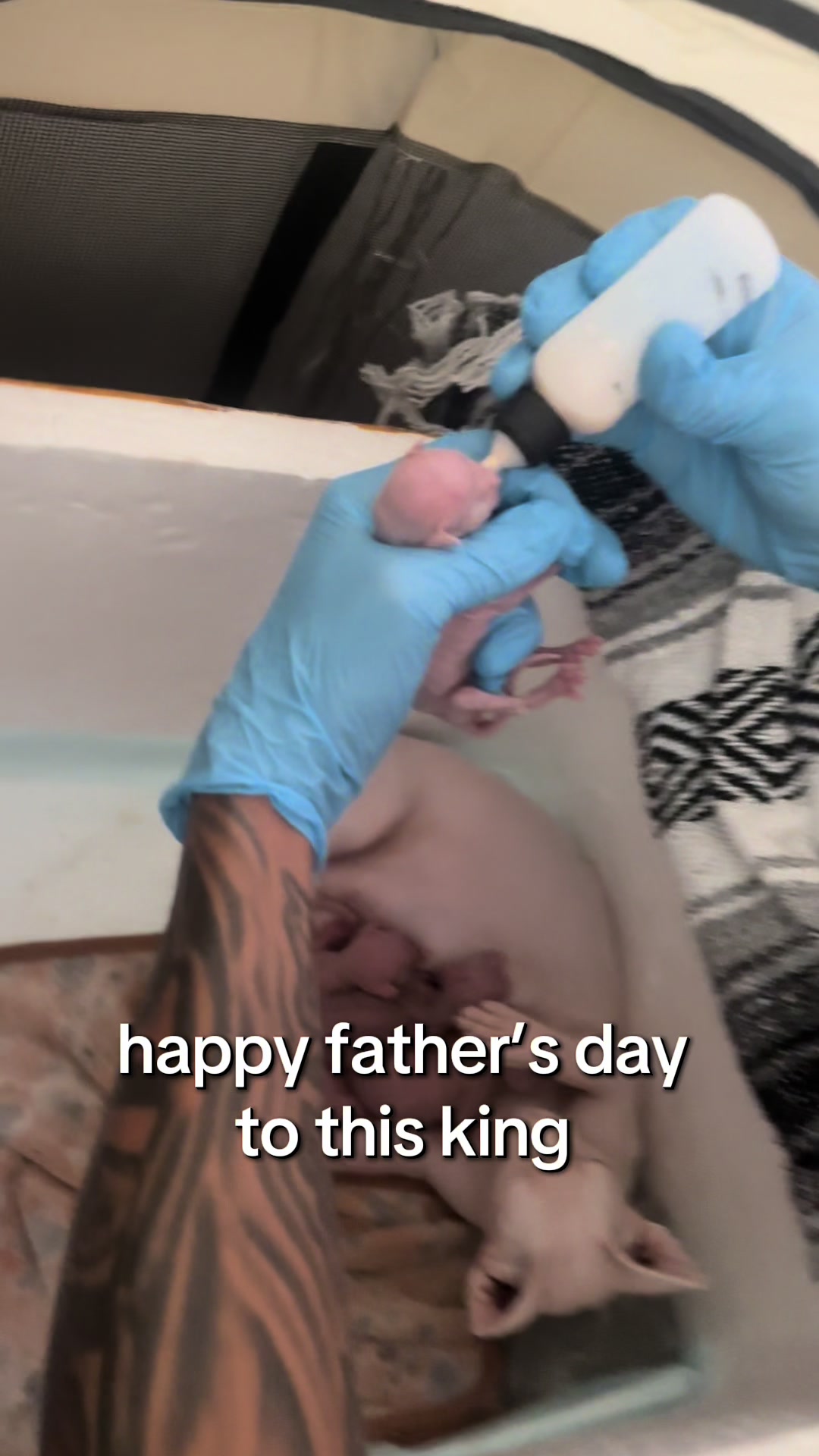 @famoussphynx