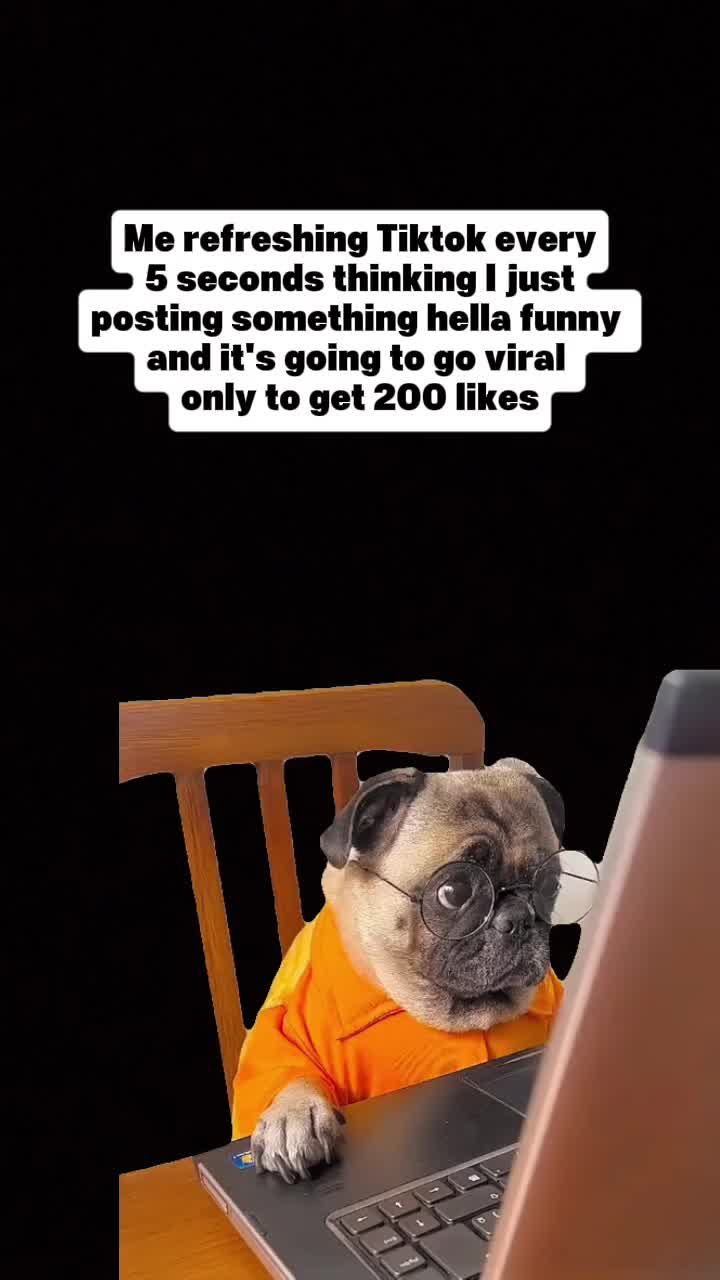 @Mr.BDSM_Handsome