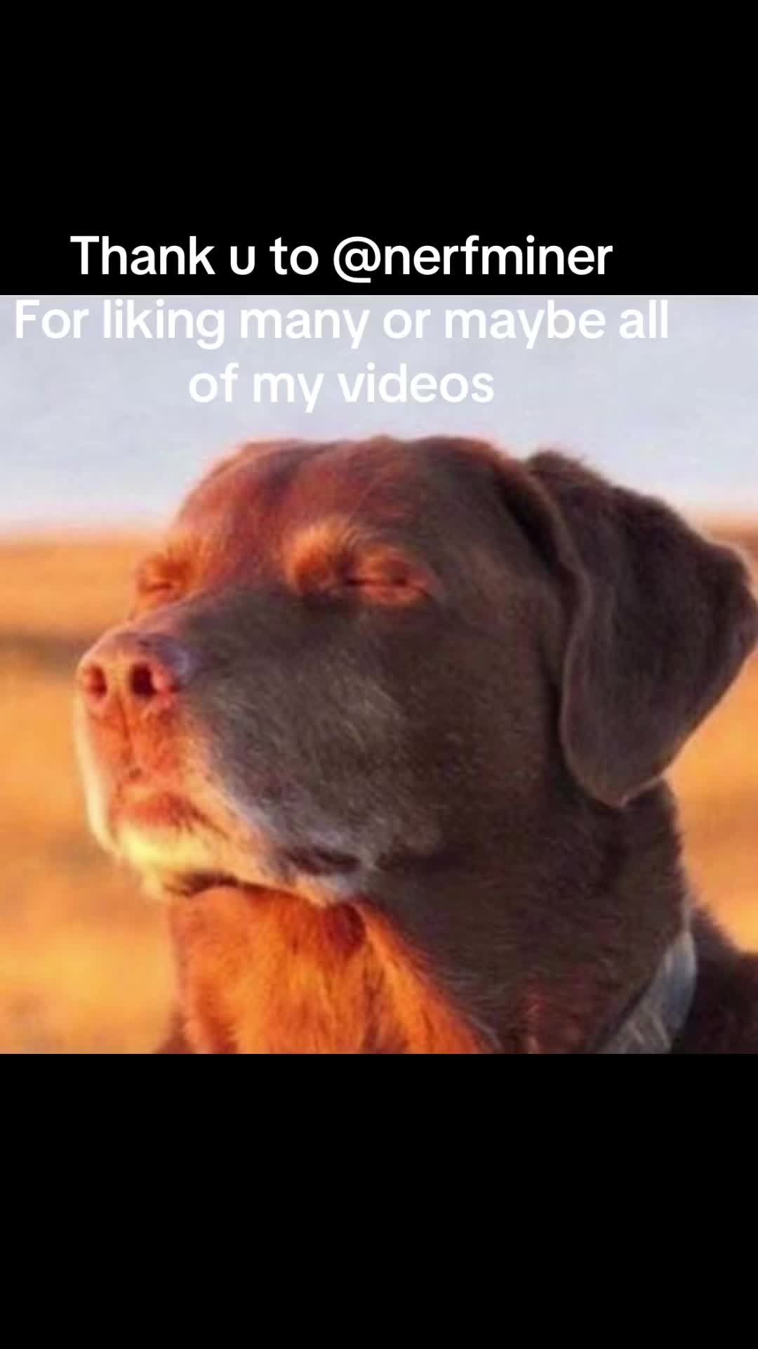 @Marshmall0w