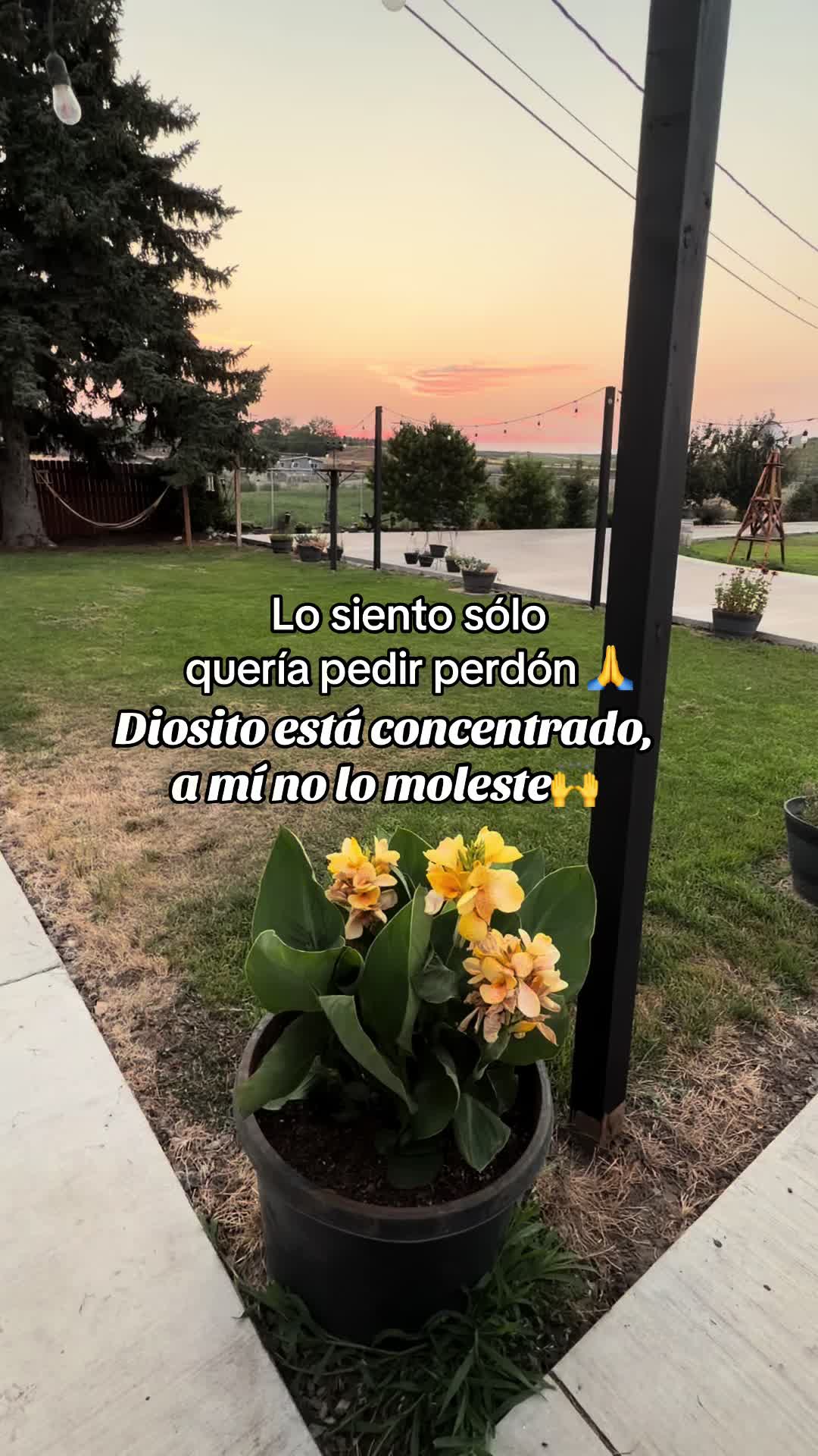@Sayuri💚 11:11