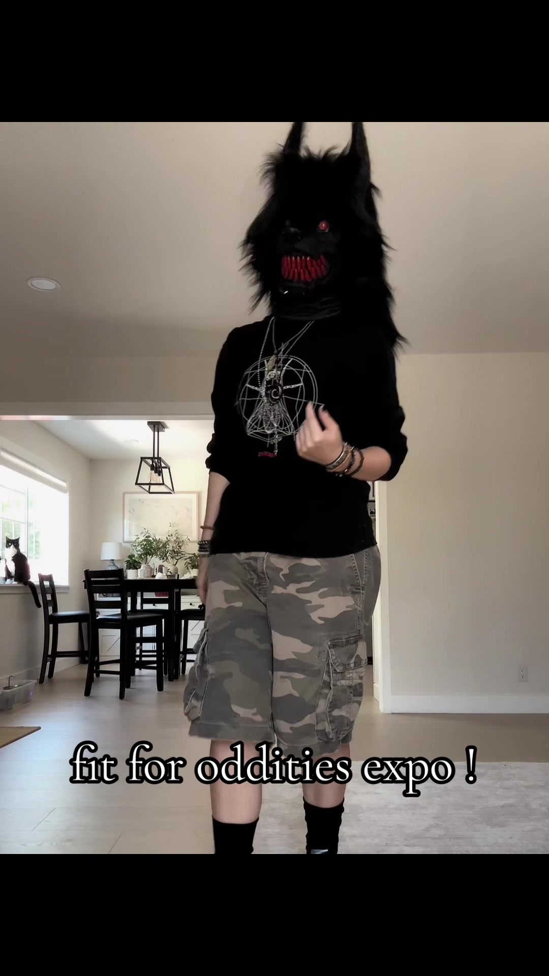 @𝐧𝐨𝐚𝐡 🐾