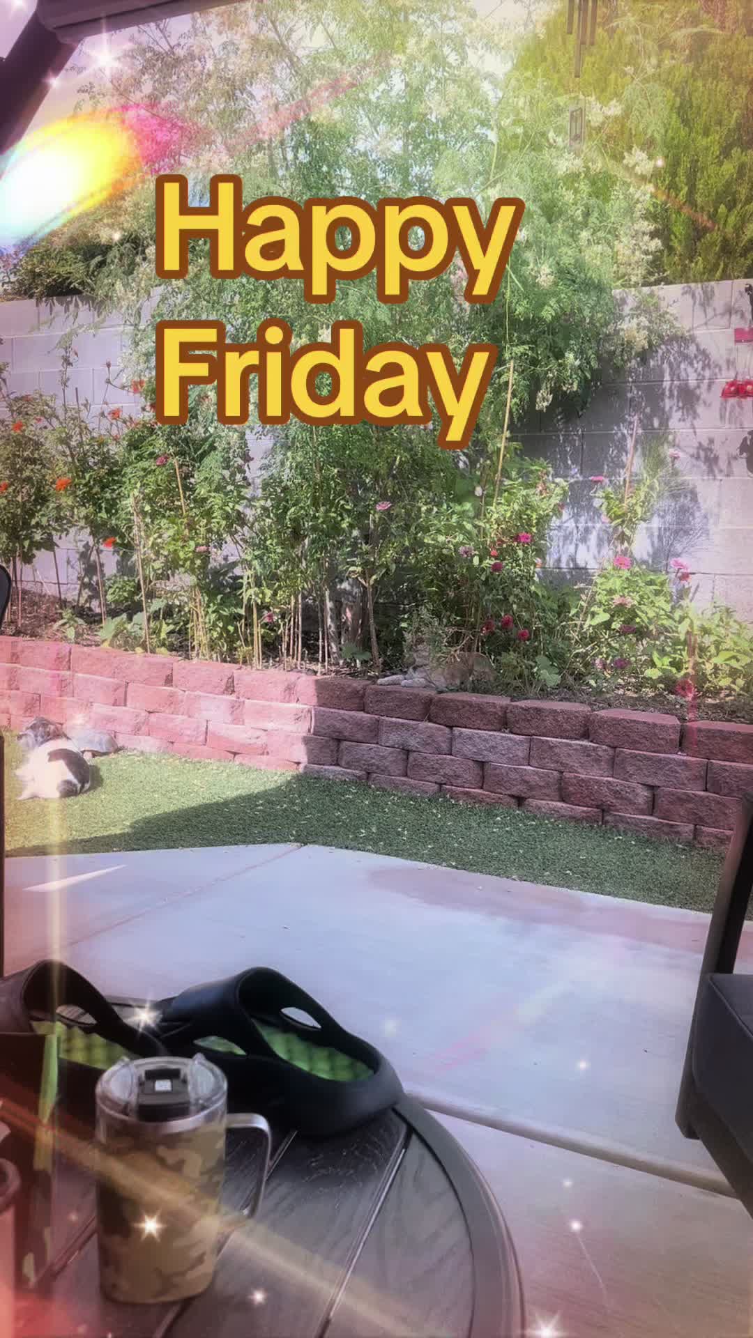 @felines.fish.furyfriends
