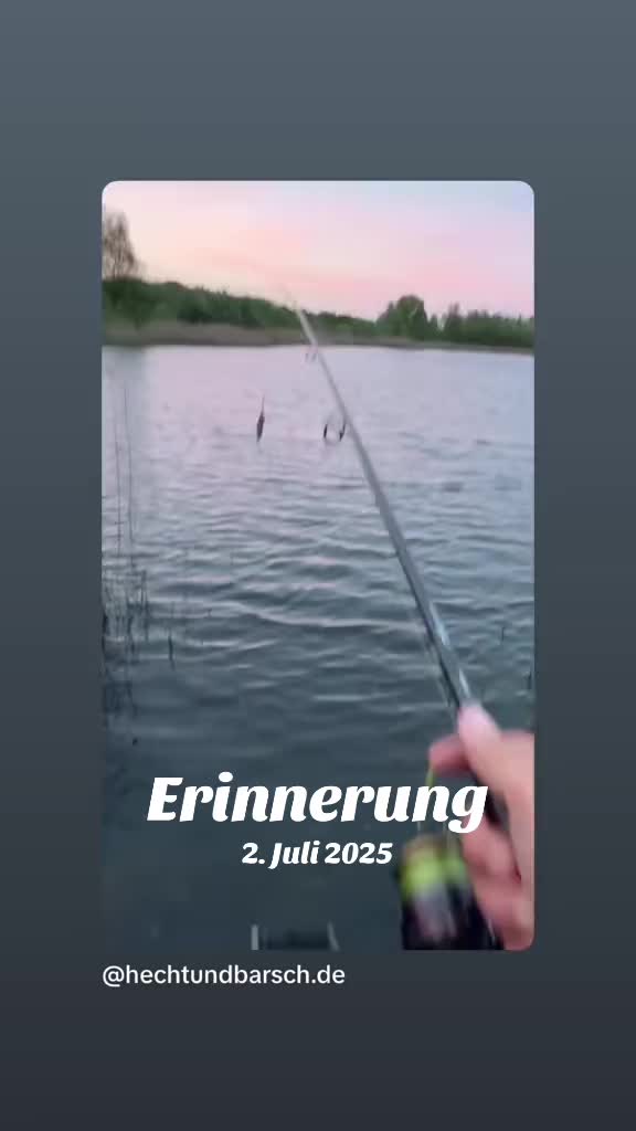 @Fischbulette