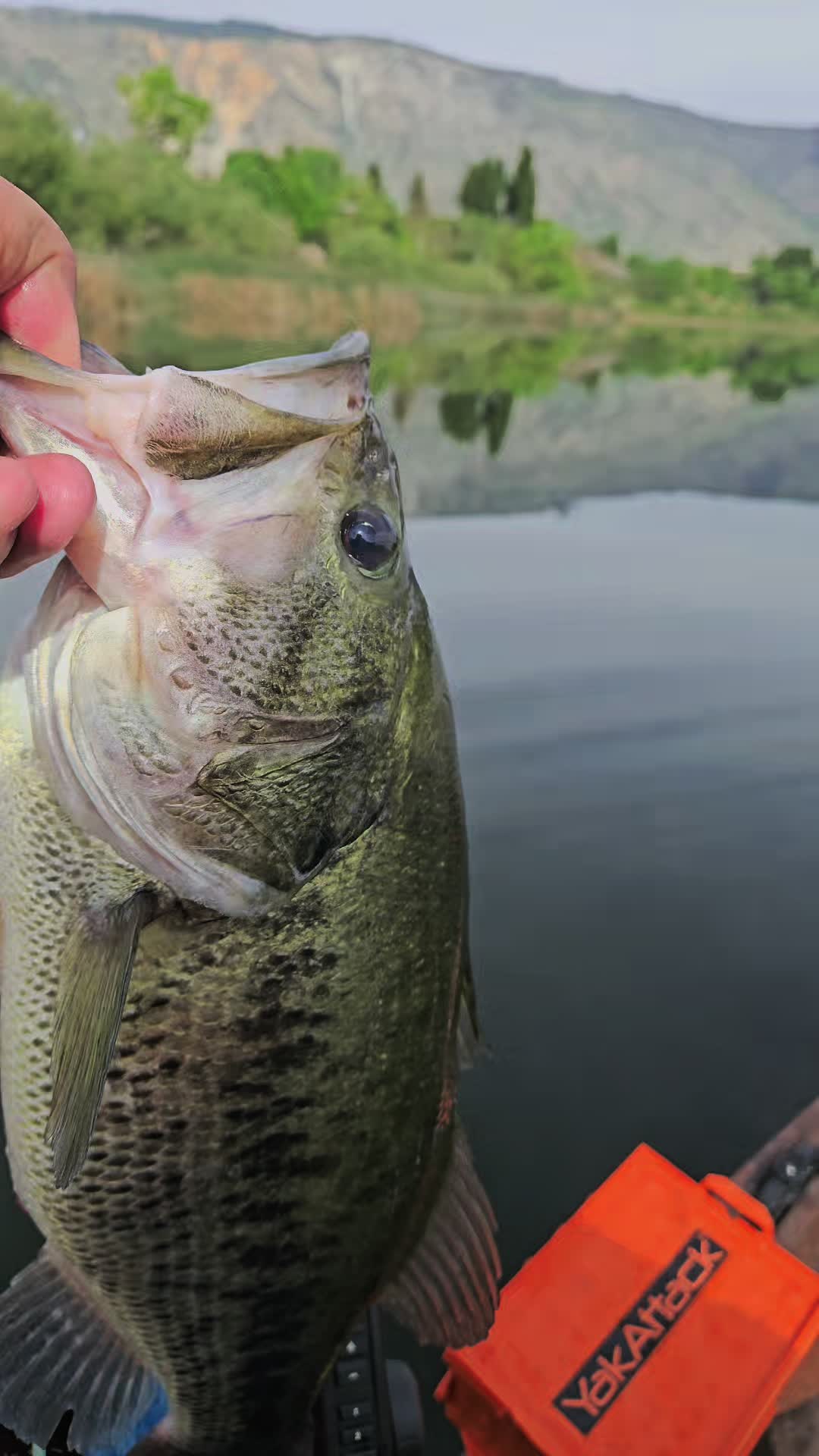 @JrzOutdoors