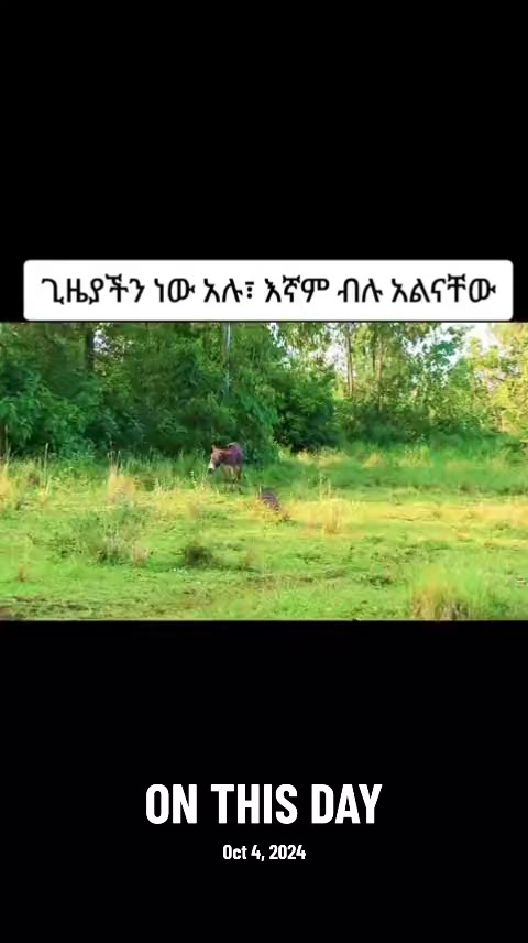 @ሀ ሚዲያ | Ha Media