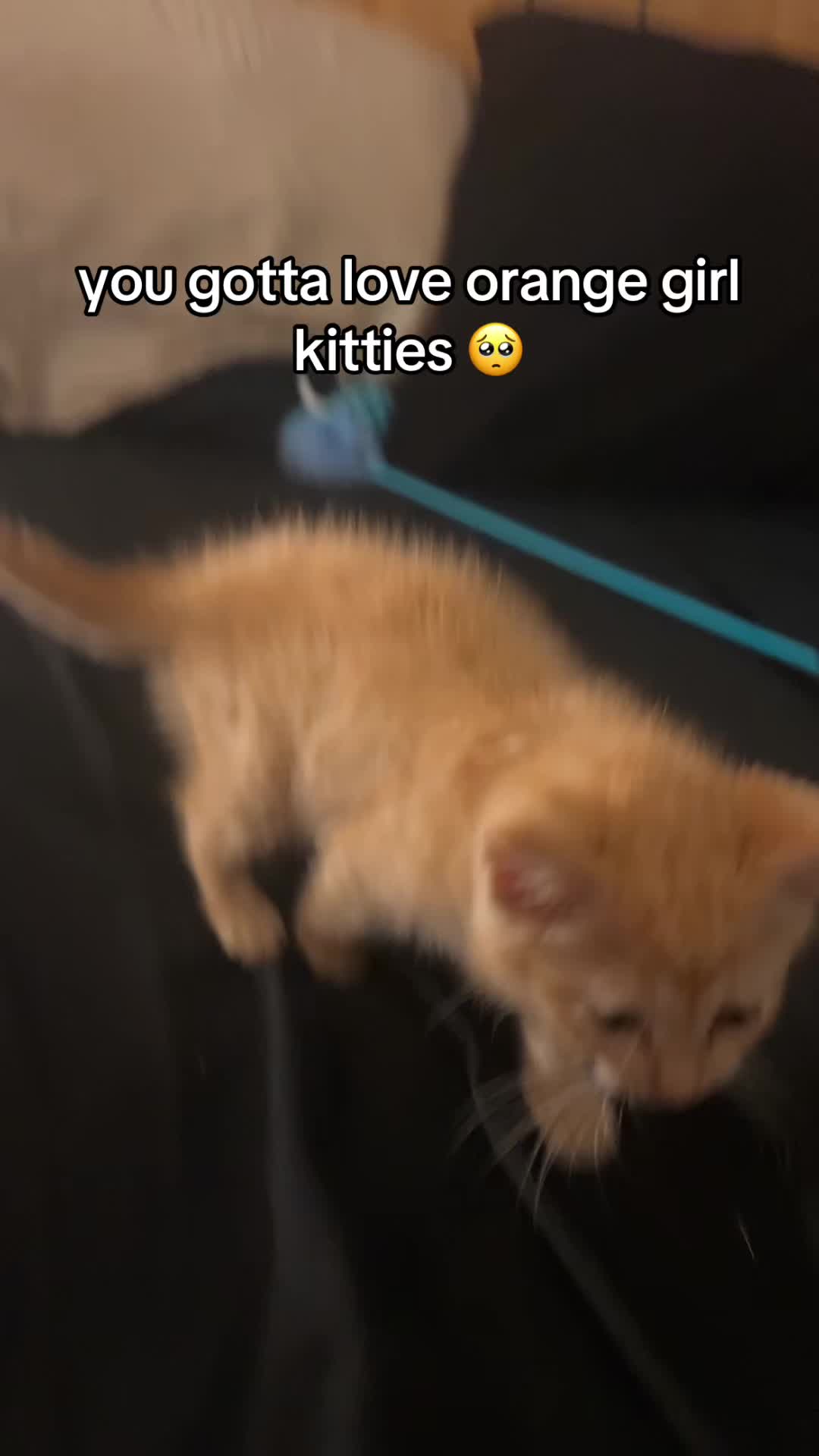 @thebuffunicorn