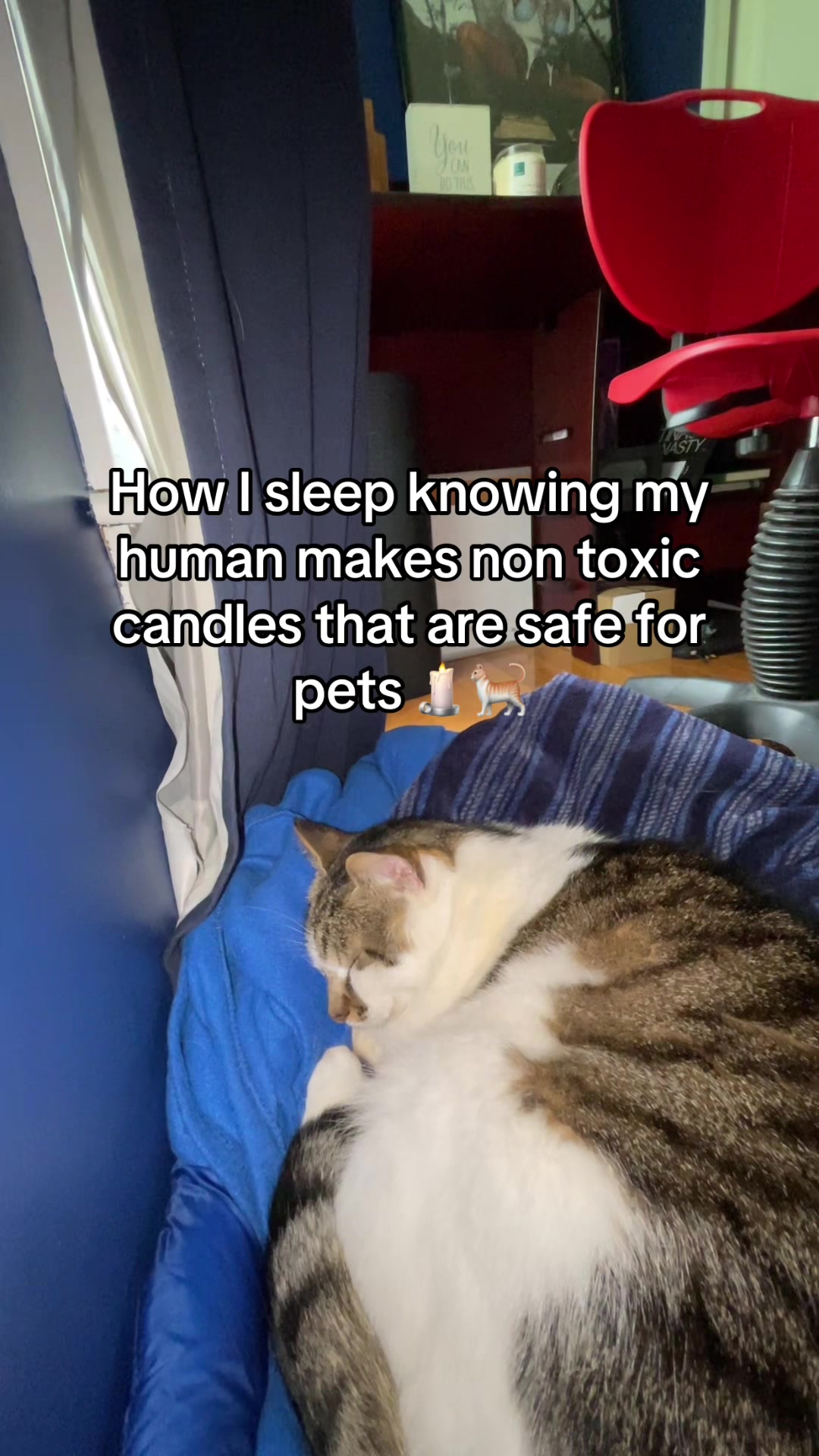 @THE WIN CANDLE
