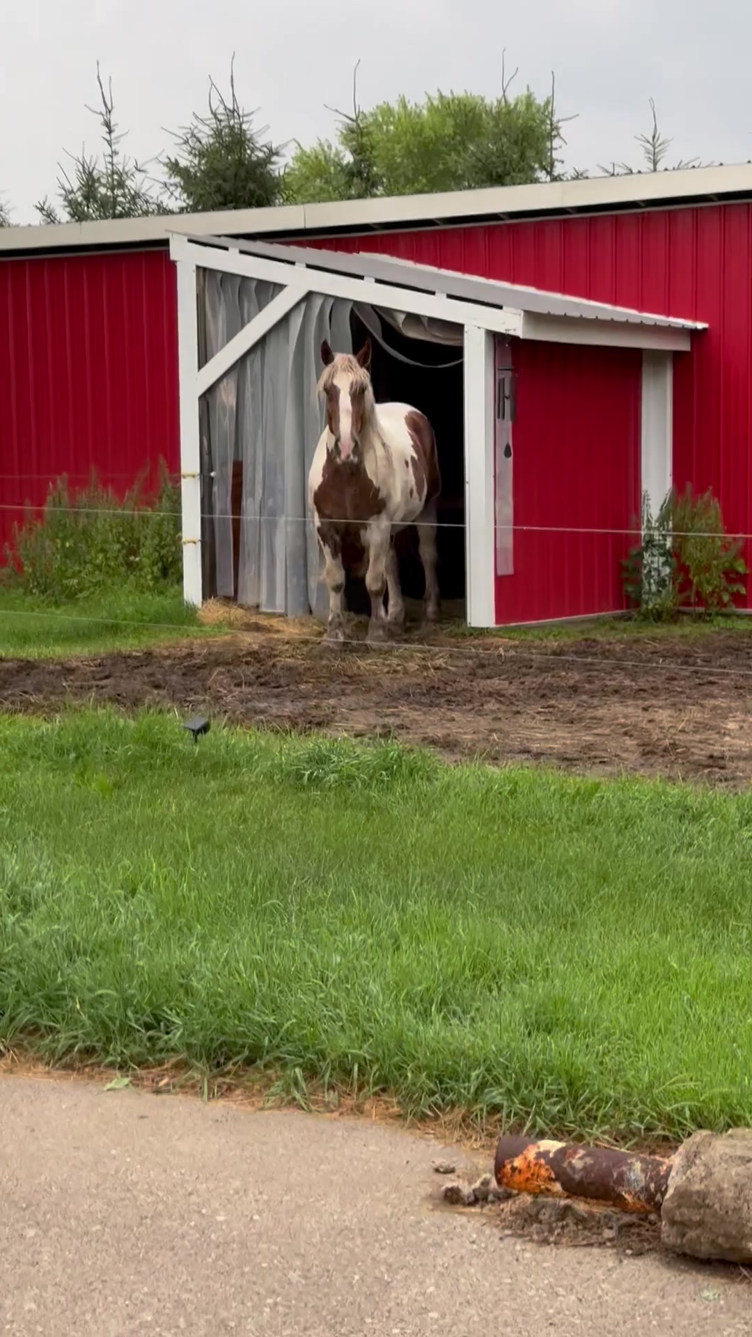 @Safe Place Pastures, Inc.