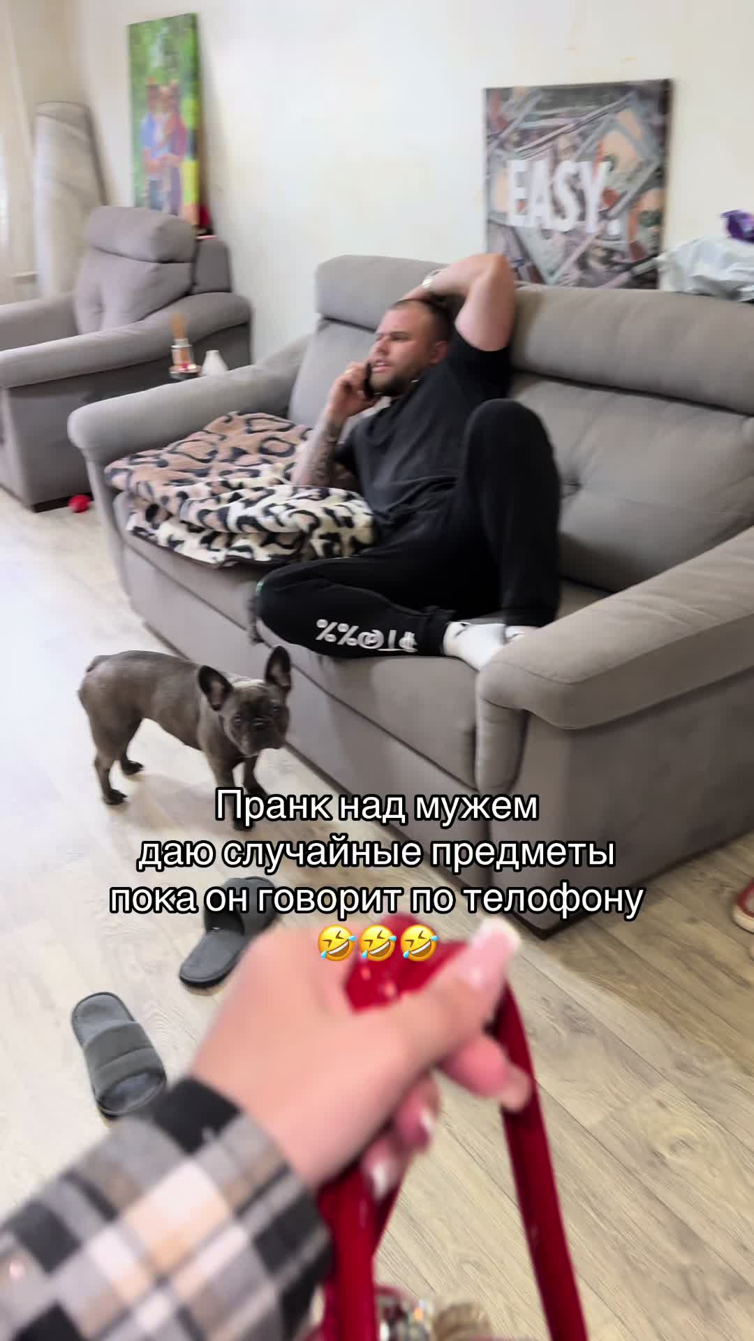 @ok_shevchikii