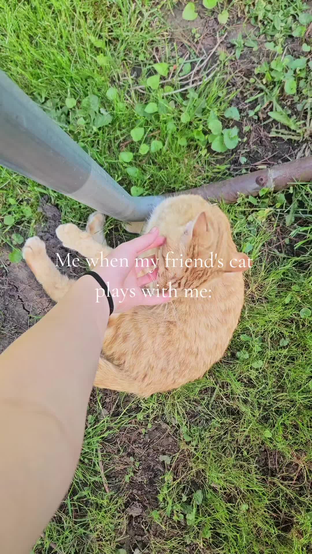 @🌠💙𝕄𝕠𝕠𝕟𝕓𝕦𝕘💙🌠