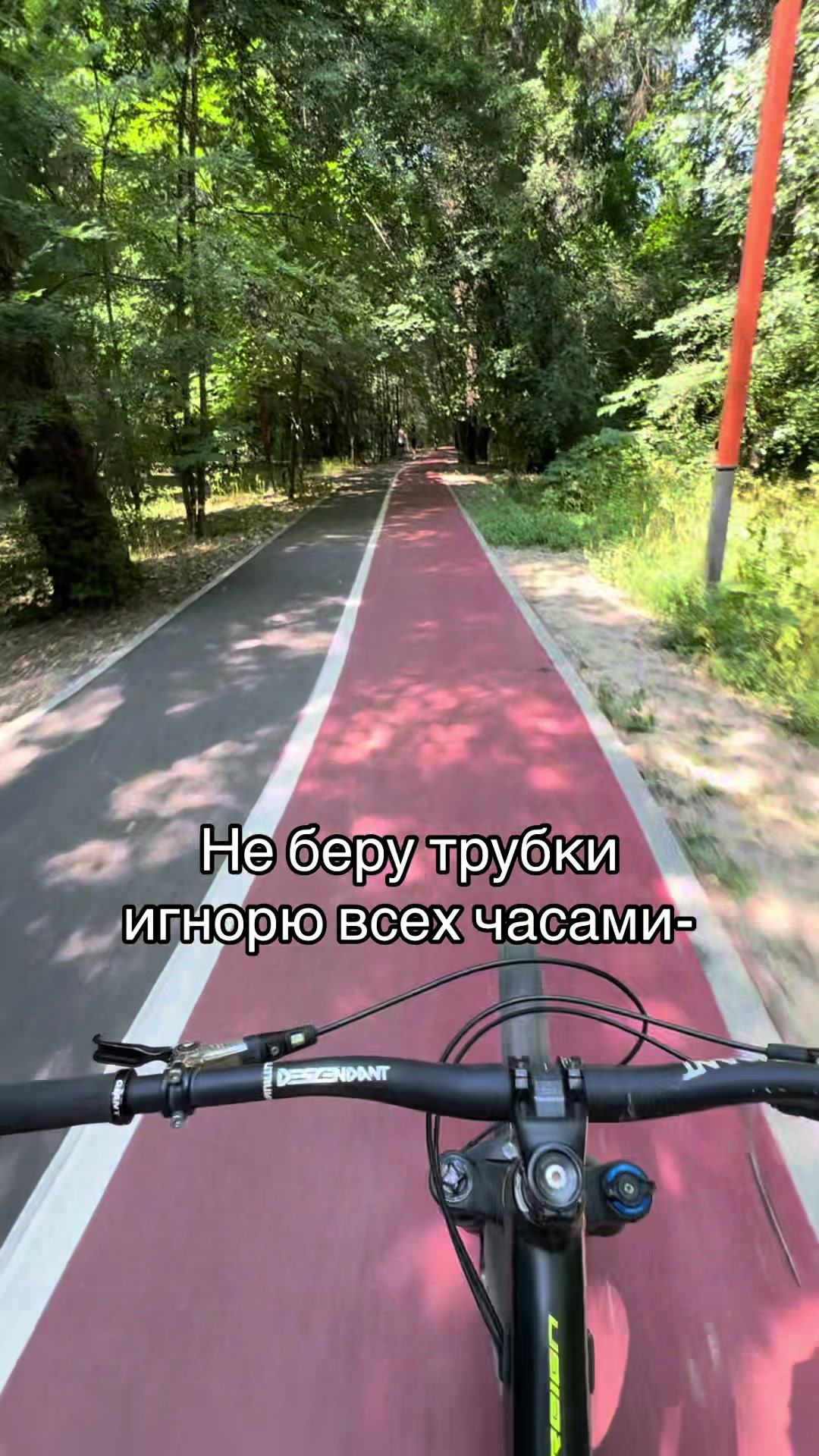 @savkin