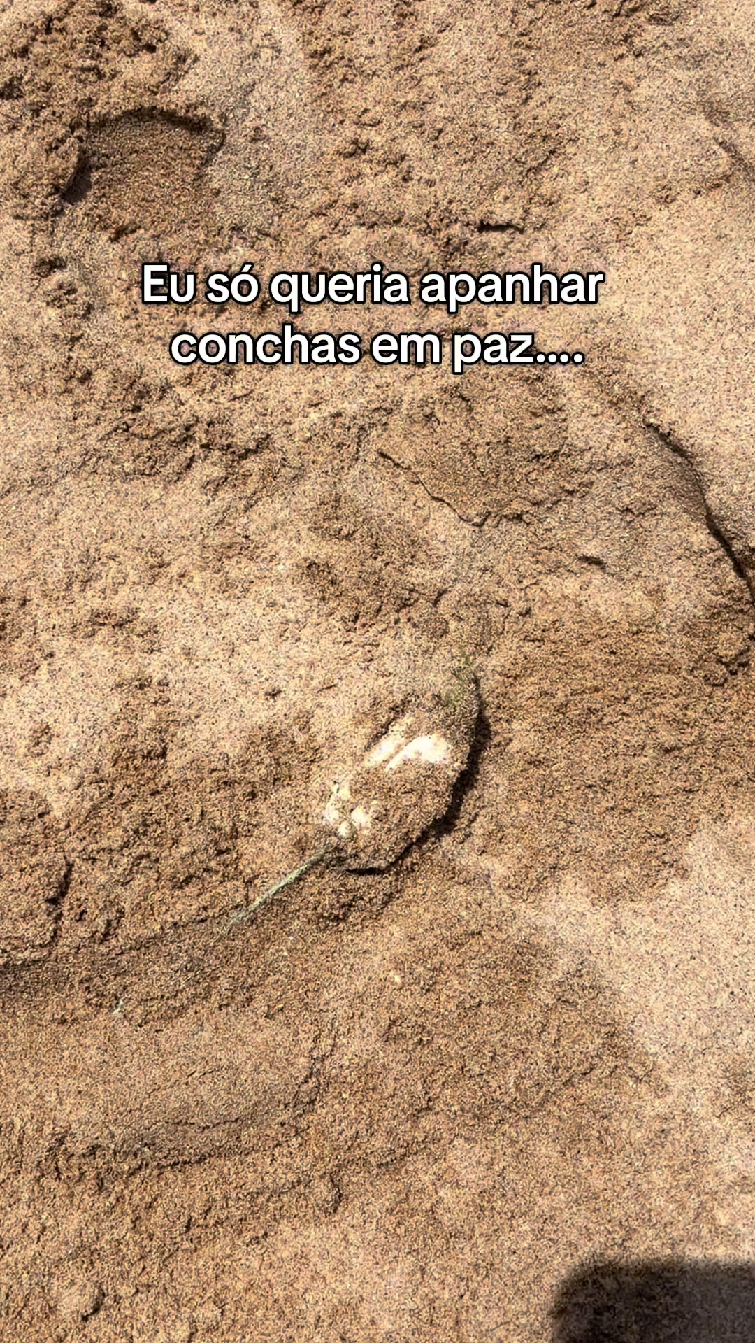 @Luísa 𓇼