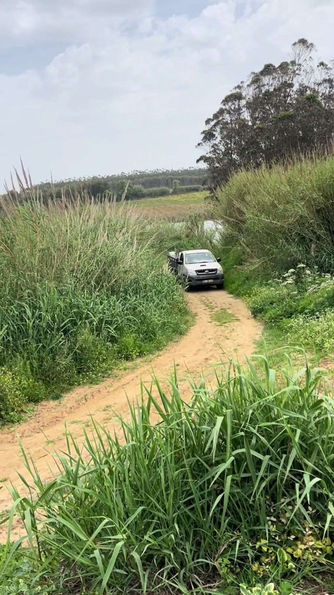 @Field Whisperer 🧑🌾