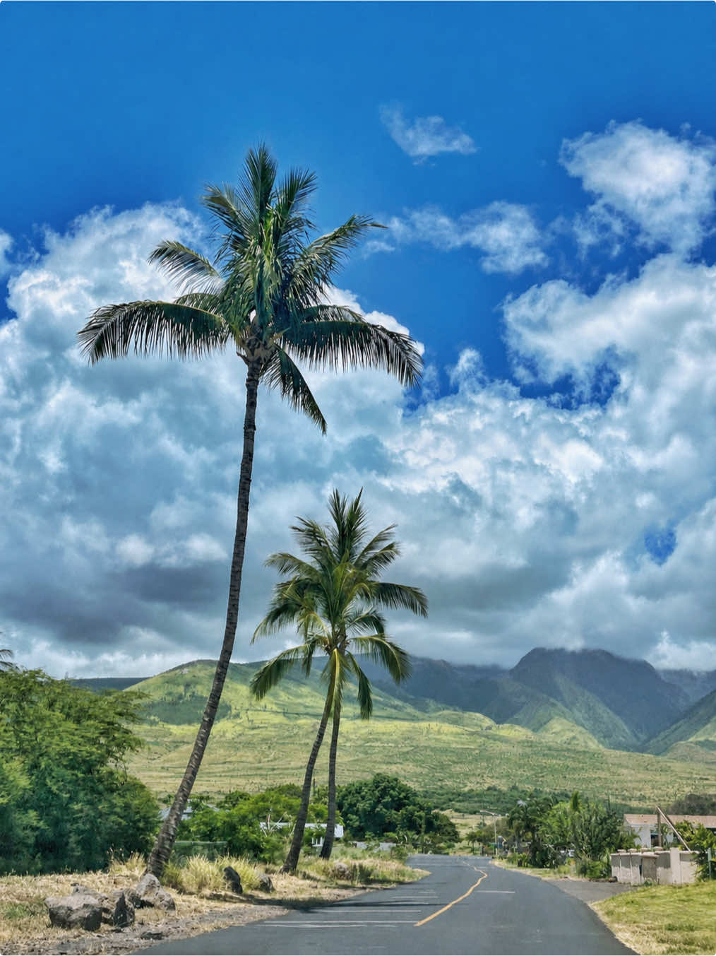 @TAY 𖤓 MAUI PHOTOGRAPHER