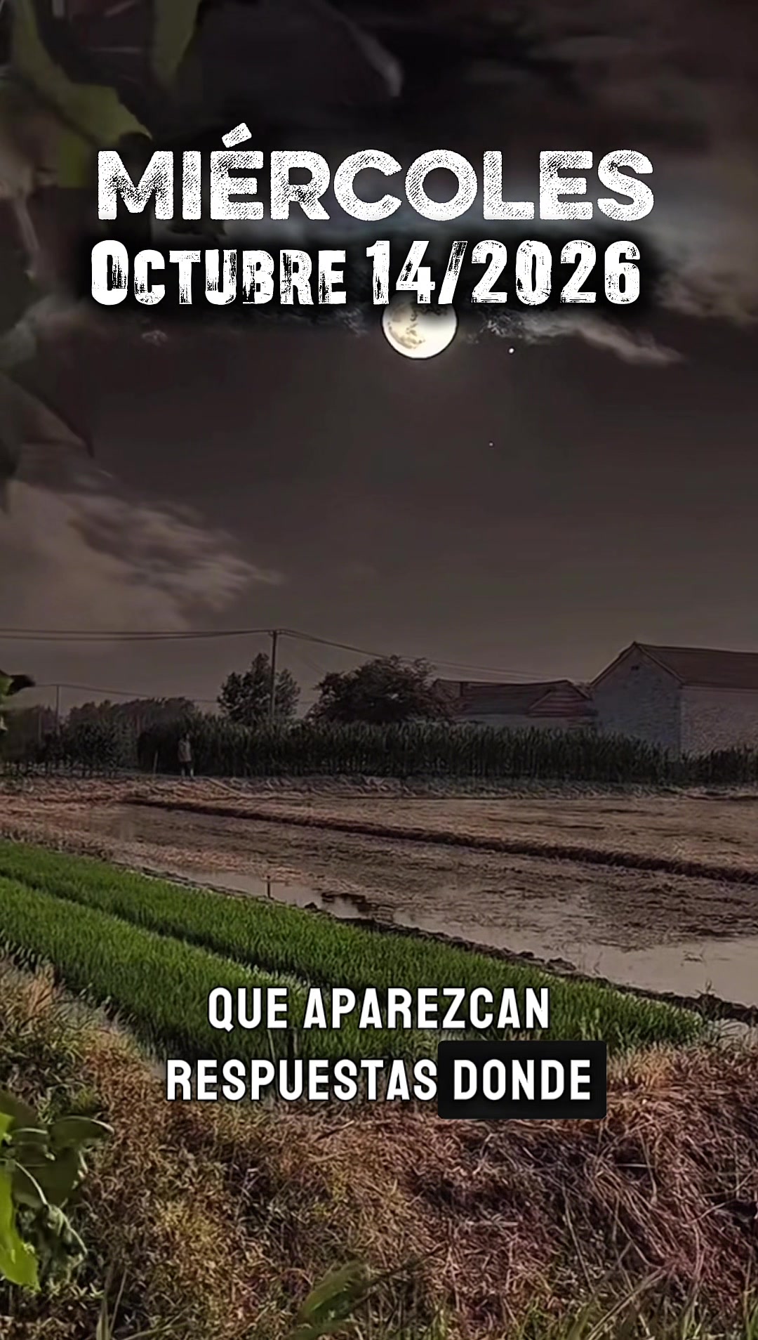 @M&uacute;sica del Cielo
