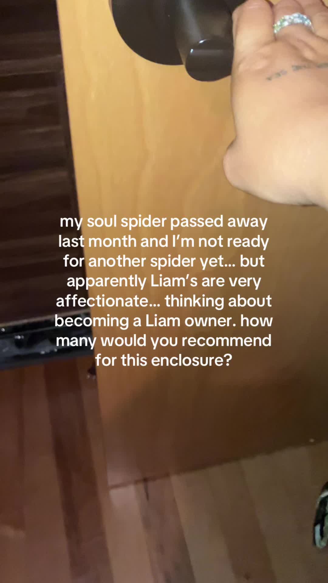 @〽️ina 🧿🕷️