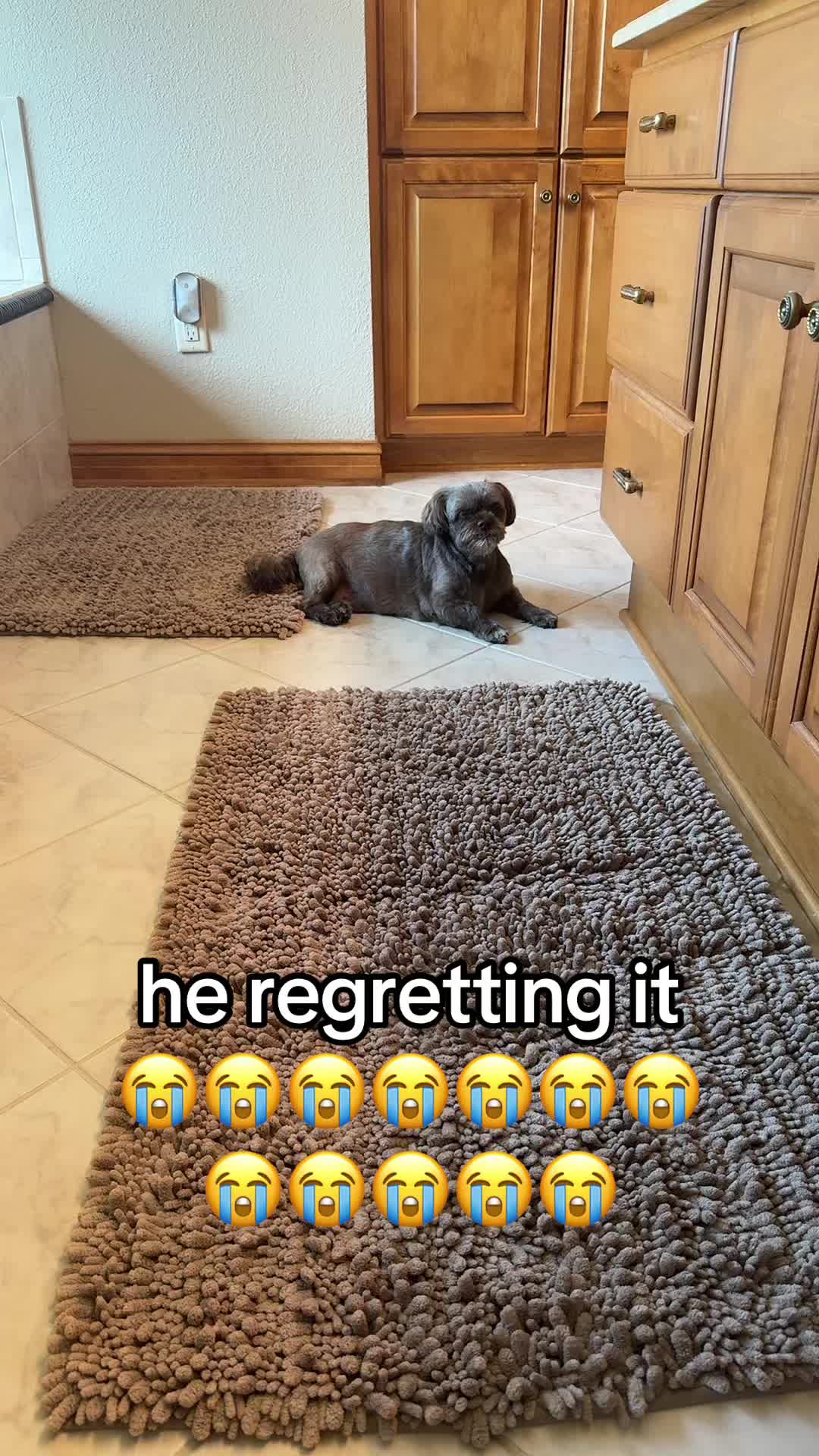 @nuttiestsock67