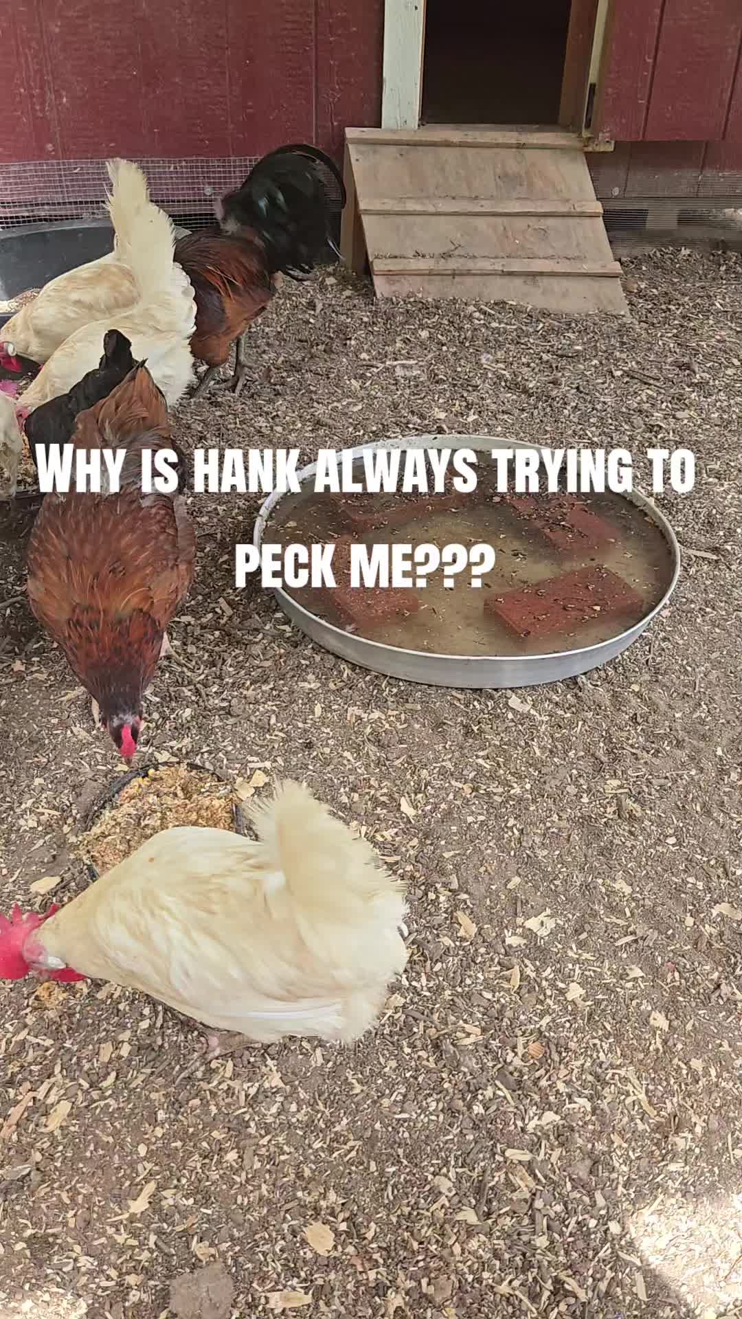 @Bamagurltm675