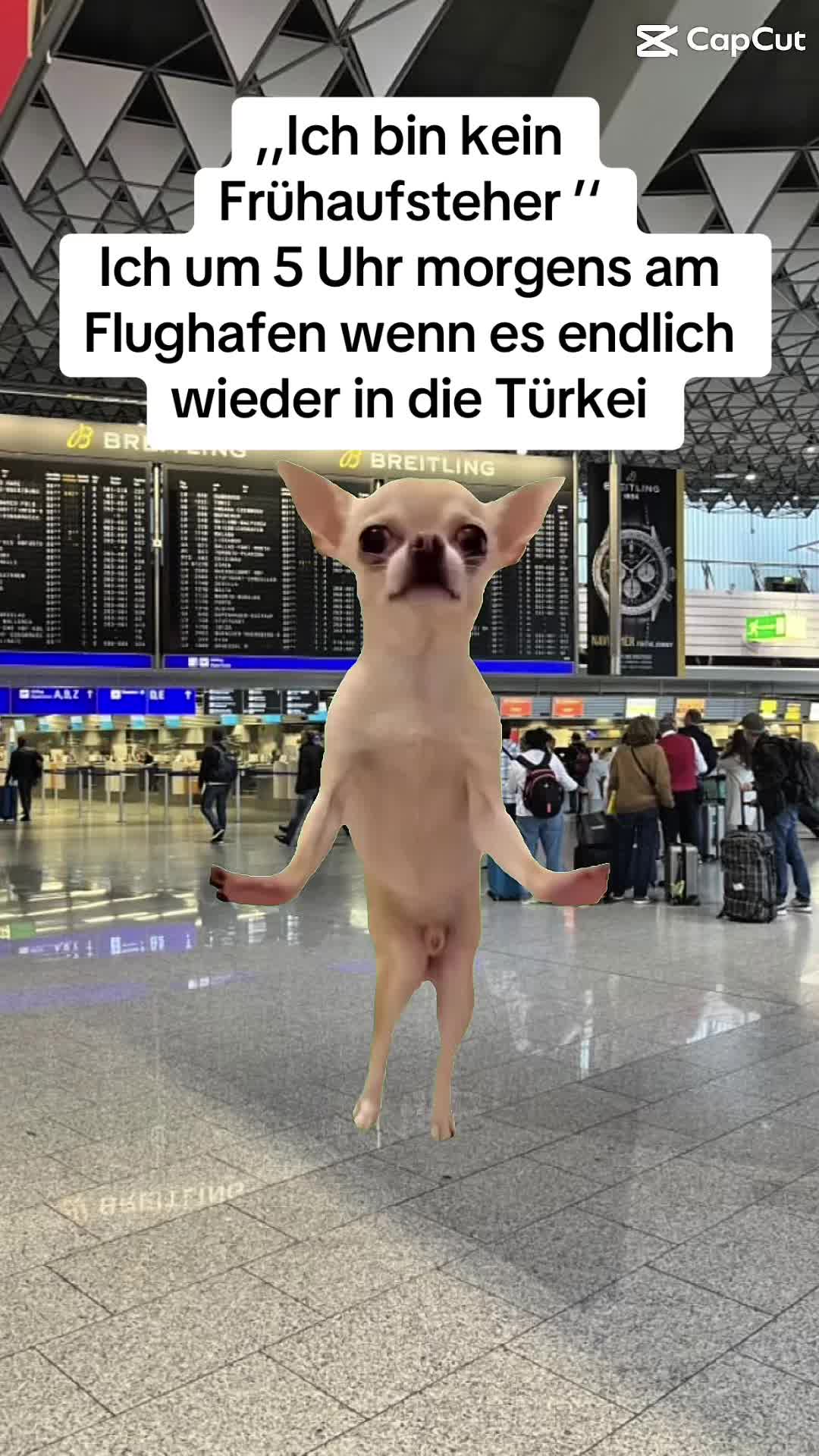 @Ann-Kathrin🦋