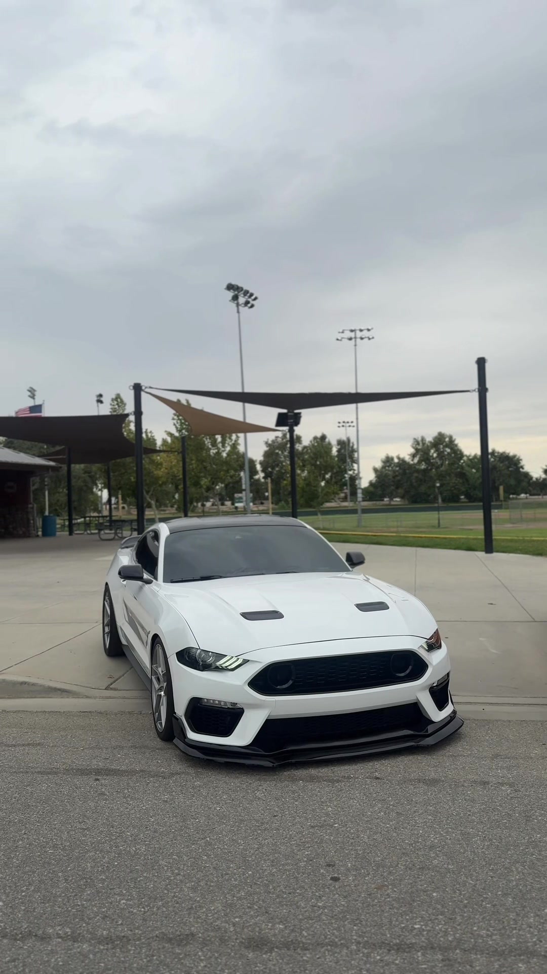 @Jalen.cs