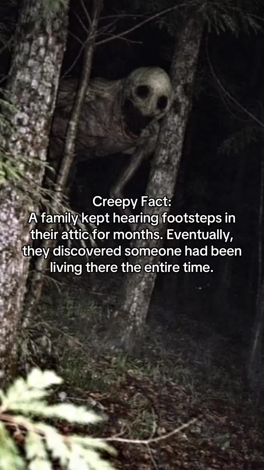@Ghastly Nightmares