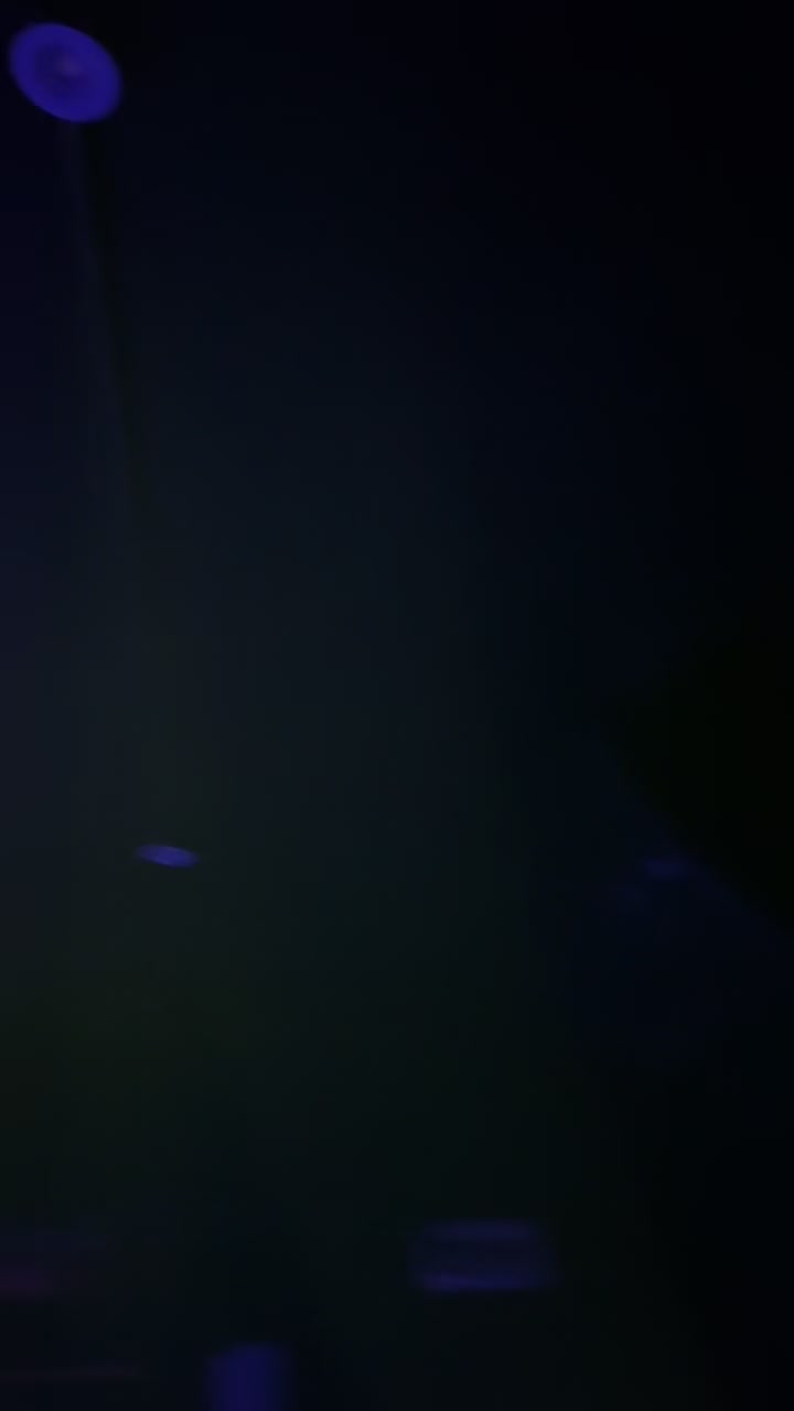 @B U N G A