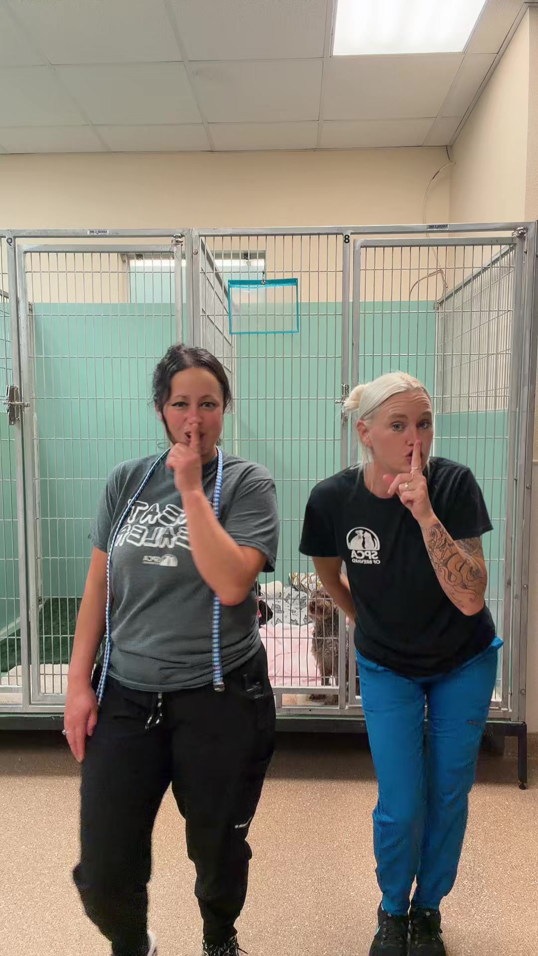 @2vettechs