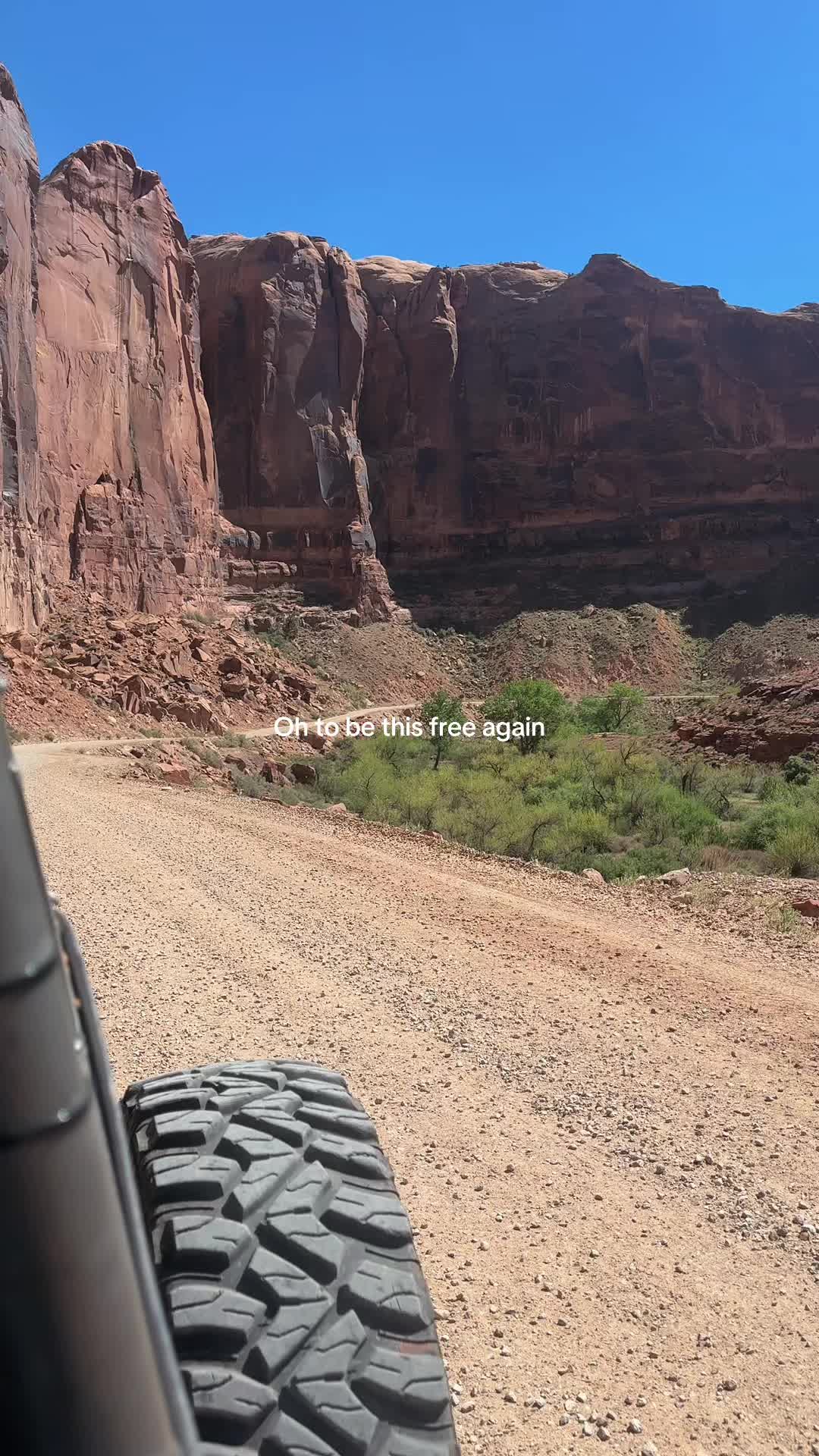 @Savannah4x4