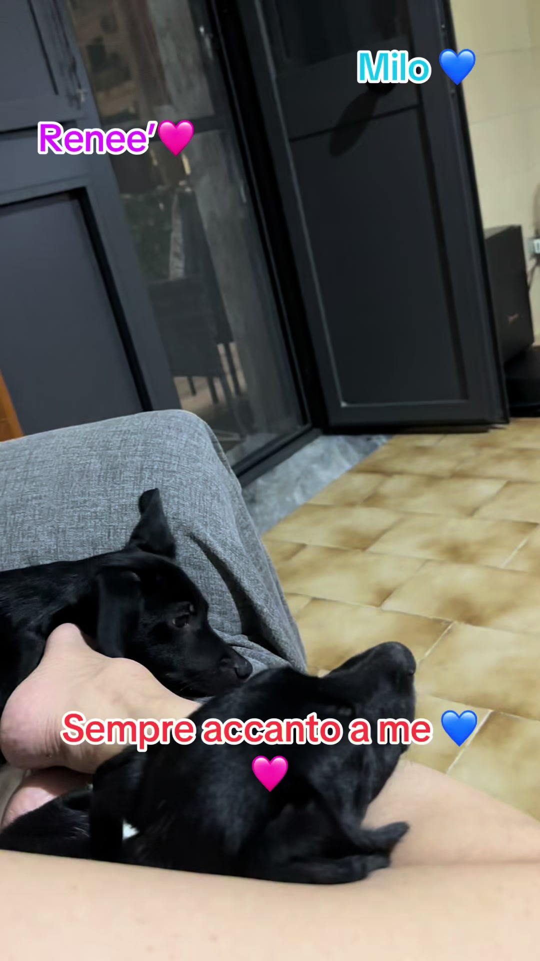 @Carmela Capone