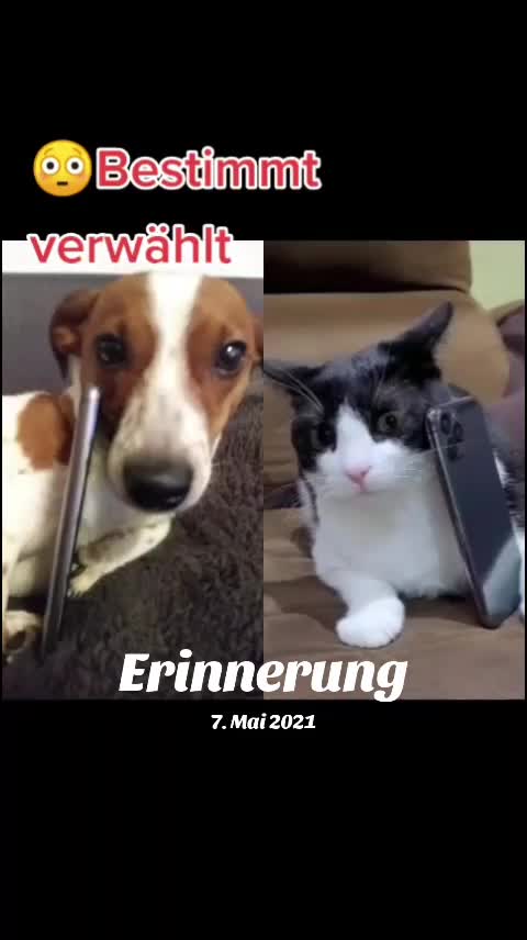 @Manu
