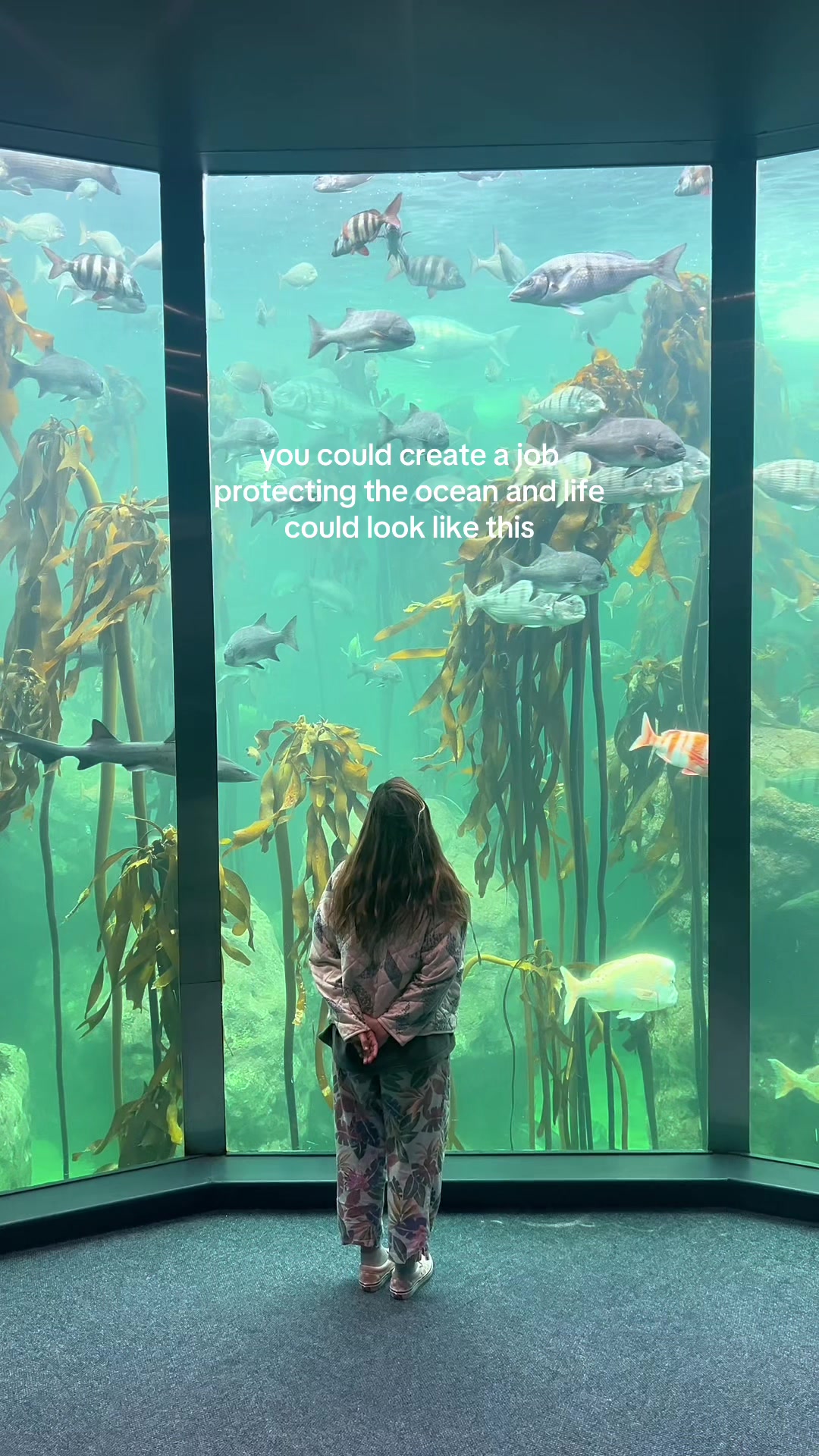 @Carissa ๐๐ฉต๐