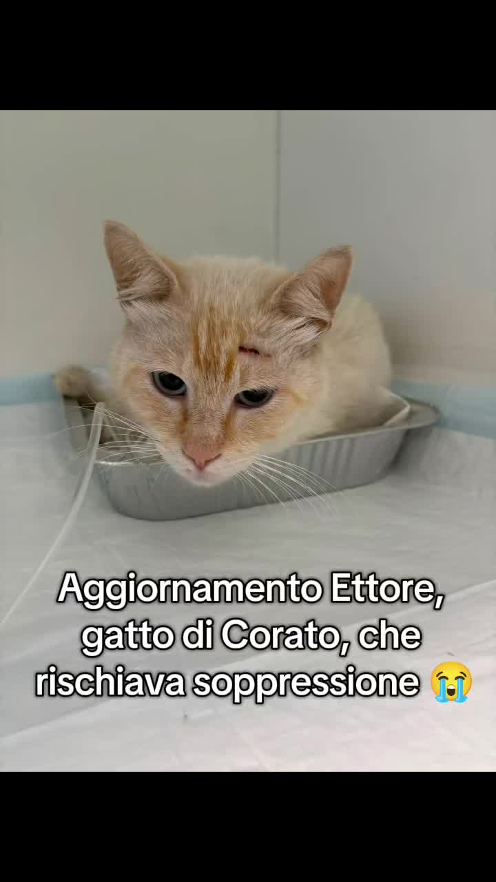 @ENPA RUVO